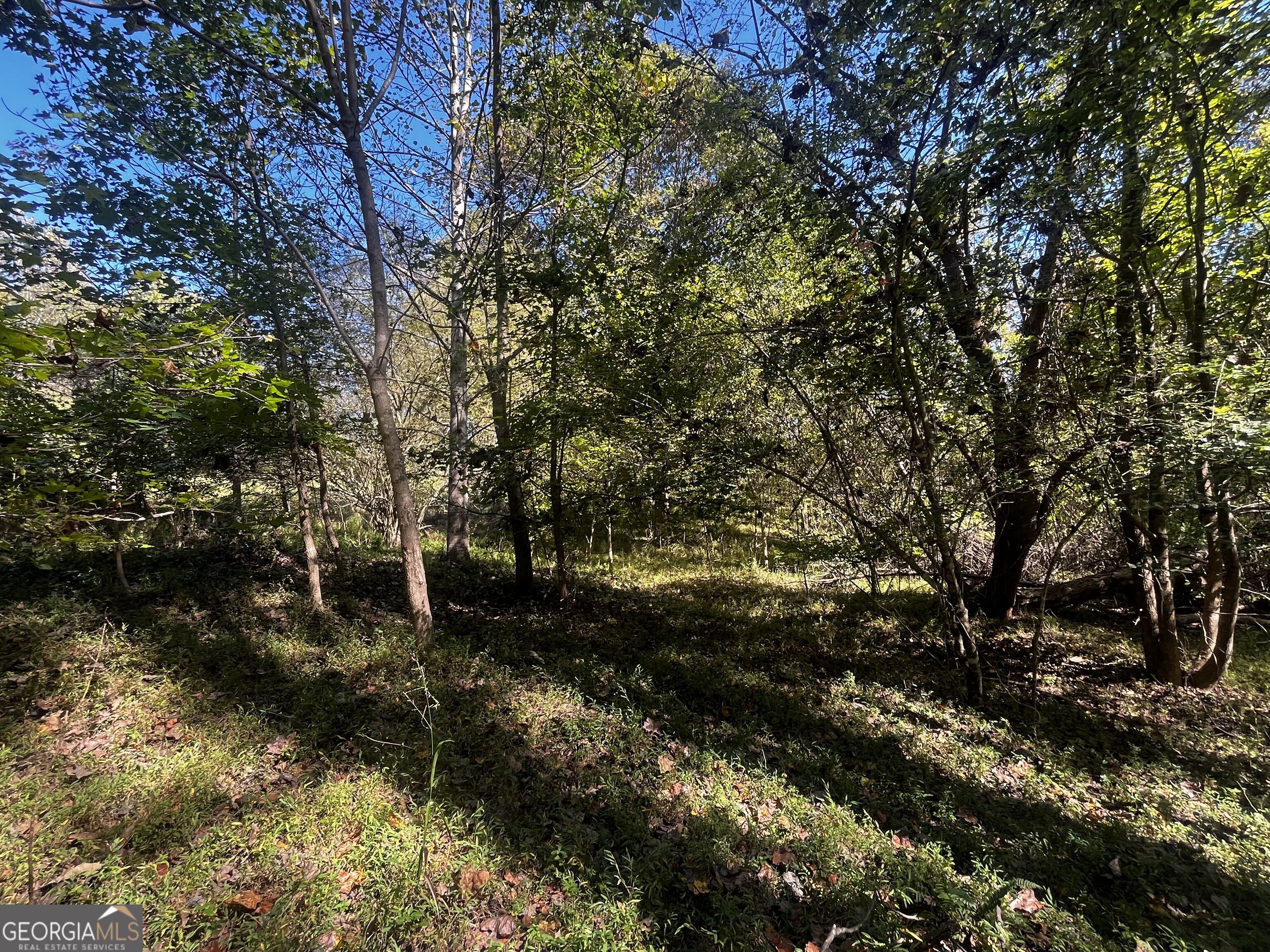 Lot 14 Lakeview Court Baldwin GA 30511