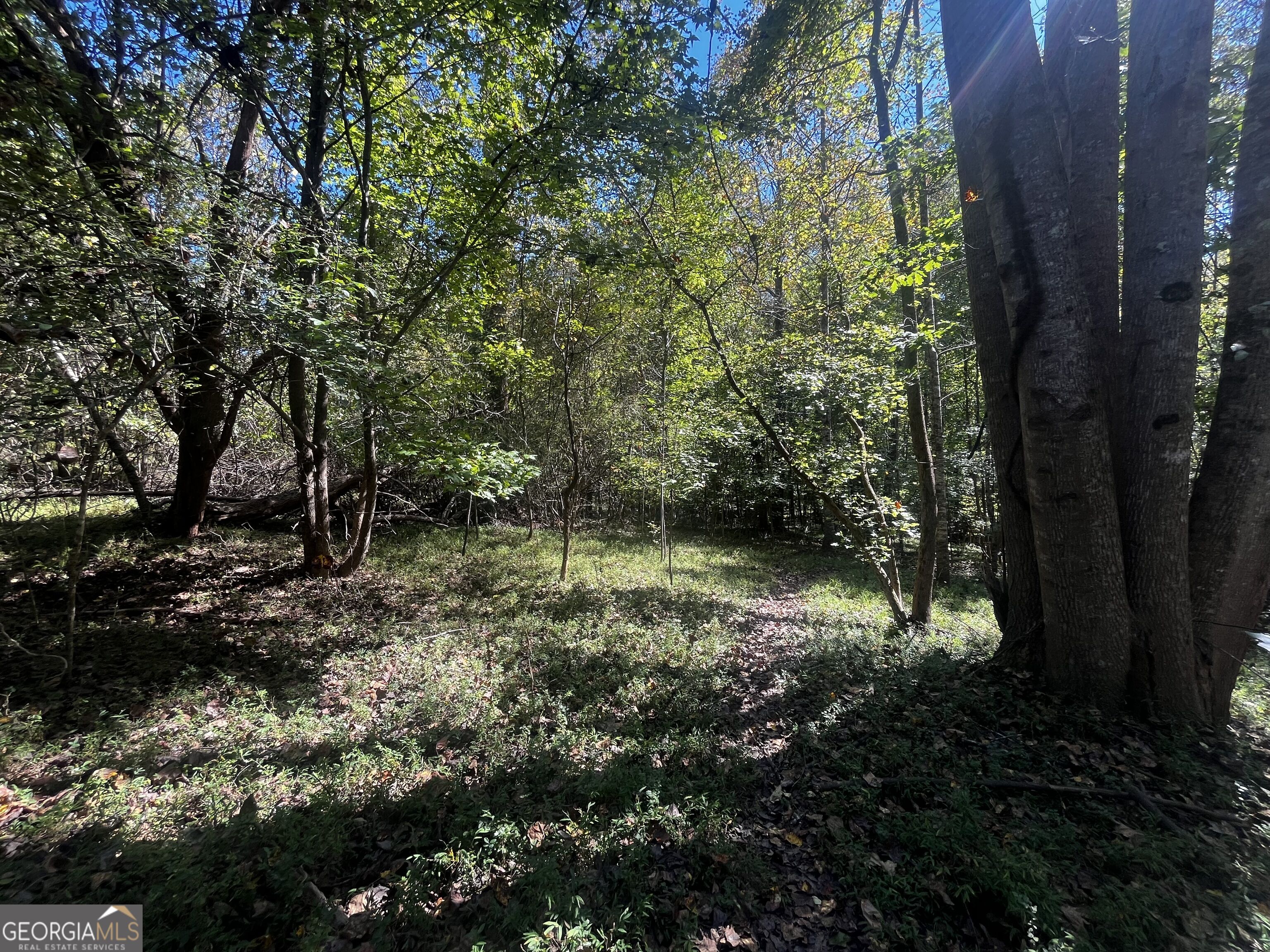 Lot 14 Lakeview Court Baldwin GA 30511