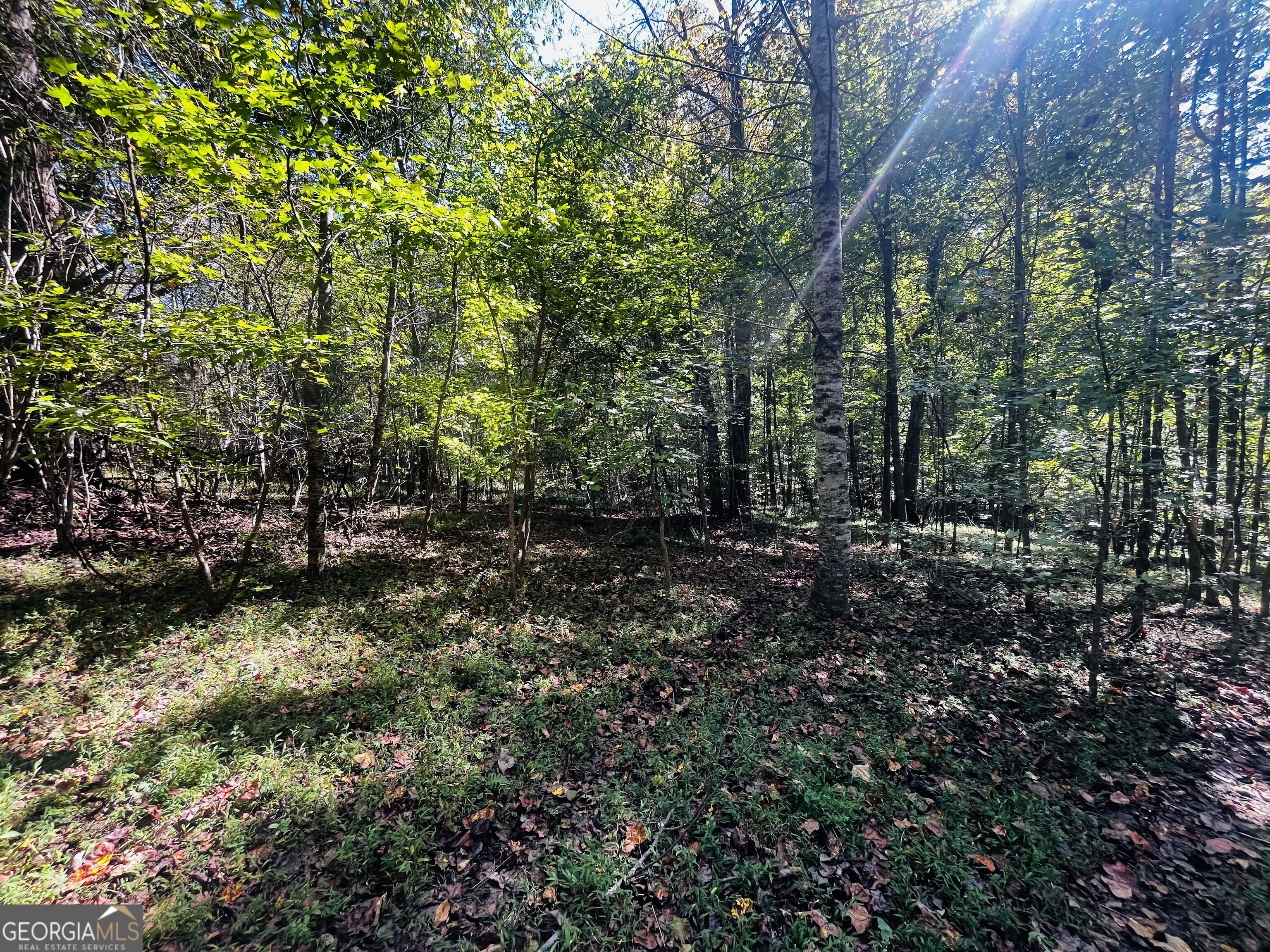 Lot 14 Lakeview Court Baldwin GA 30511