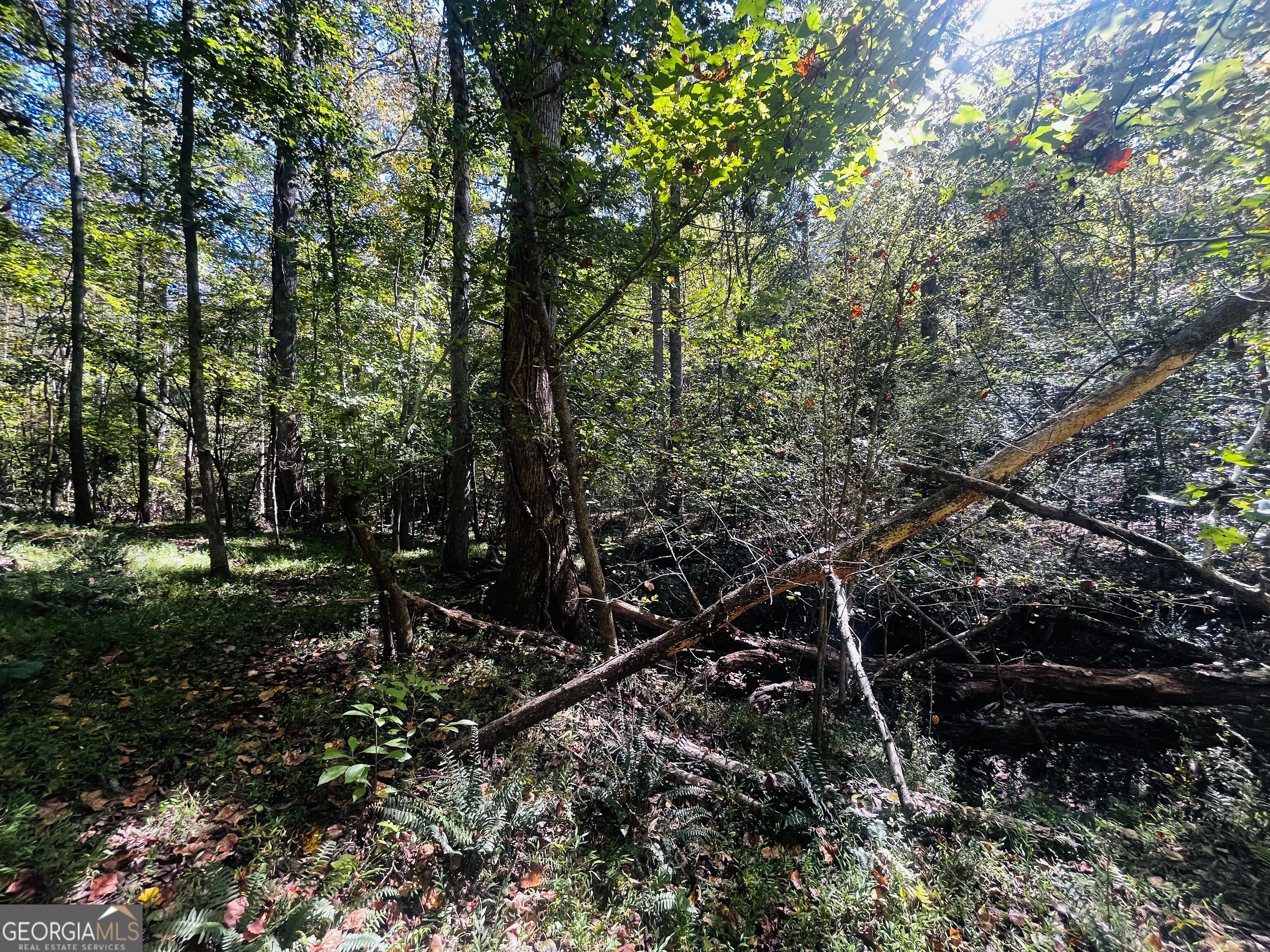 Lot 14 Lakeview Court Baldwin GA 30511