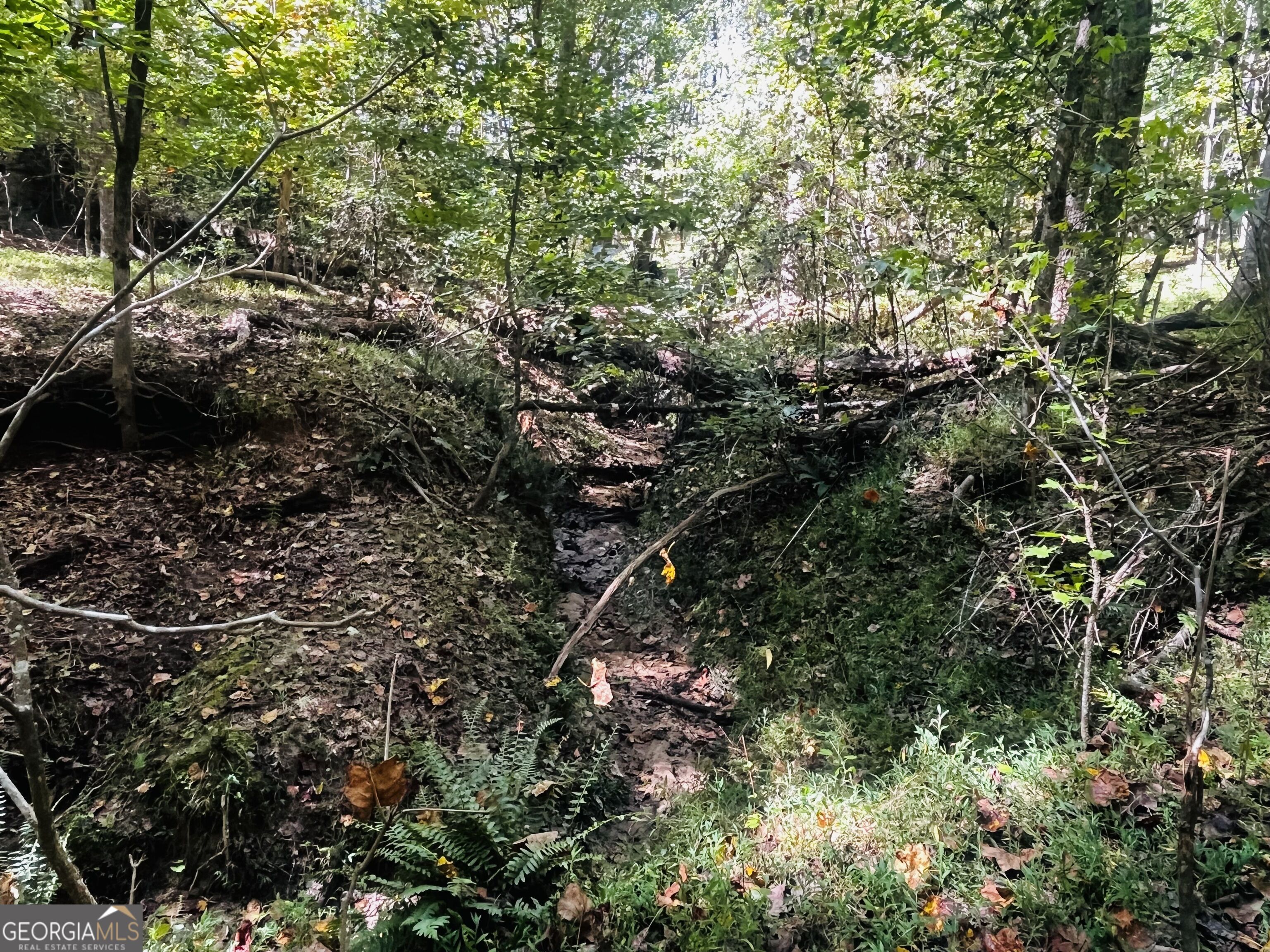 Lot 14 Lakeview Court Baldwin GA 30511