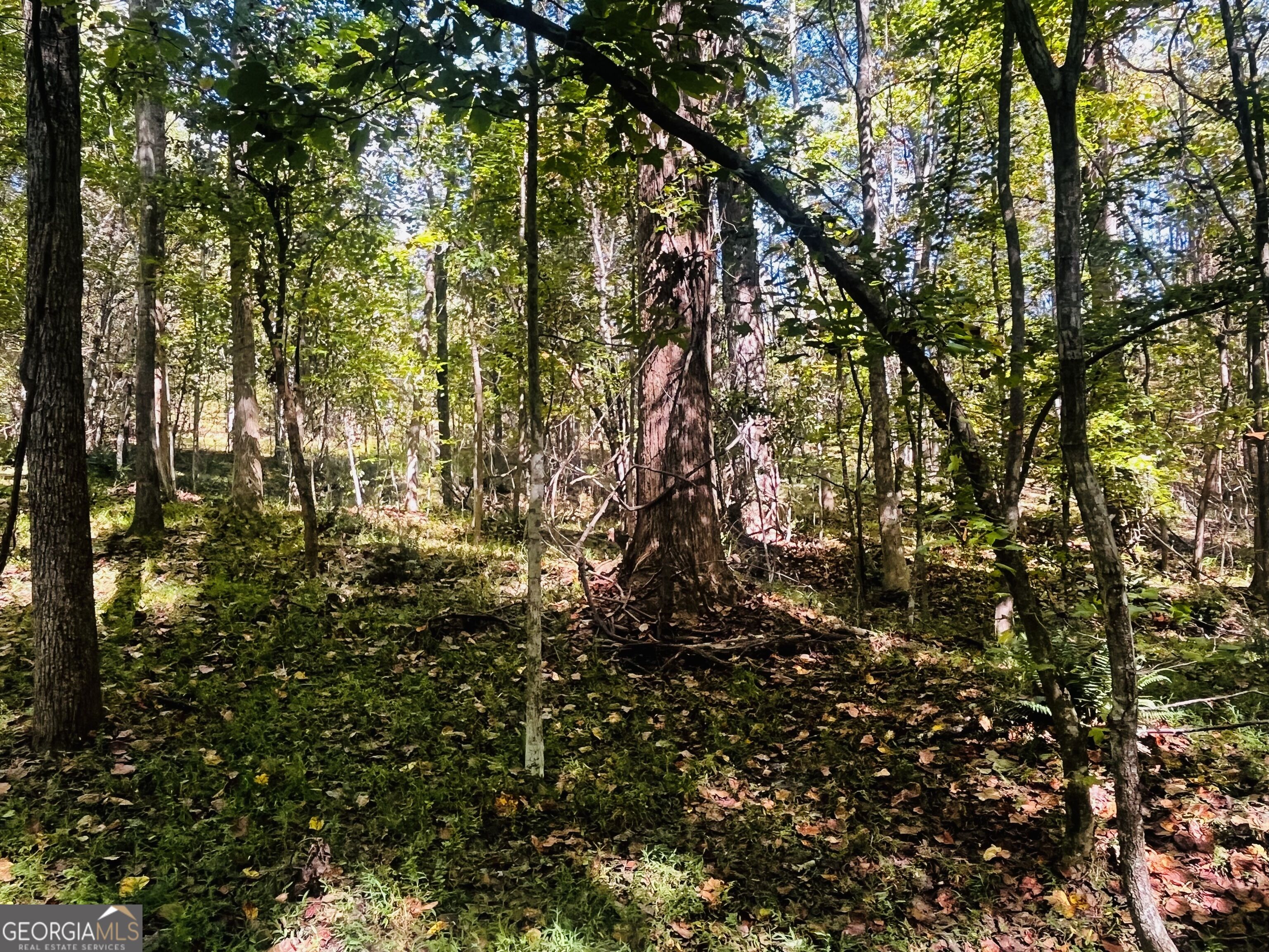Lot 14 Lakeview Court Baldwin GA 30511