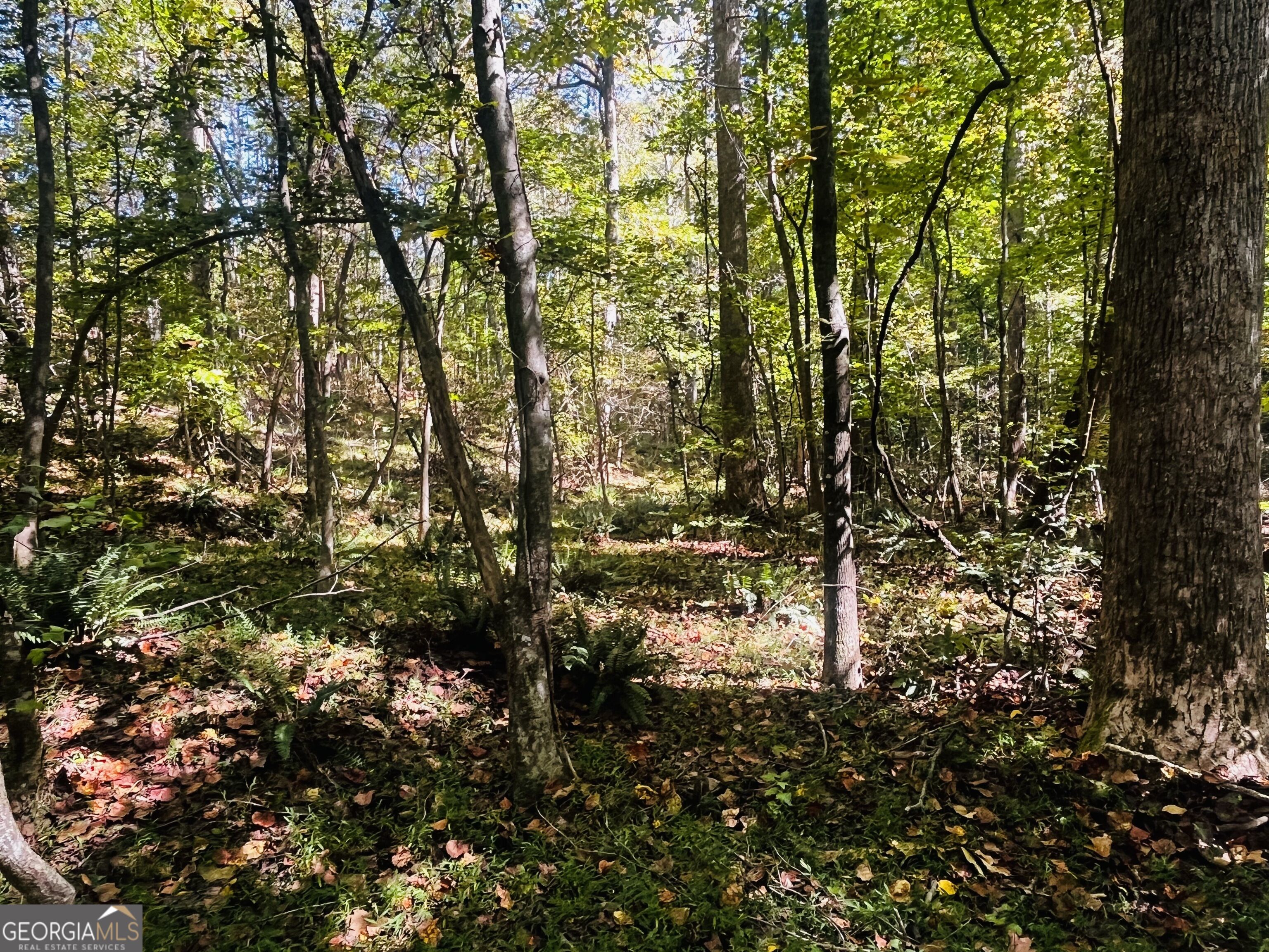Lot 14 Lakeview Court Baldwin GA 30511