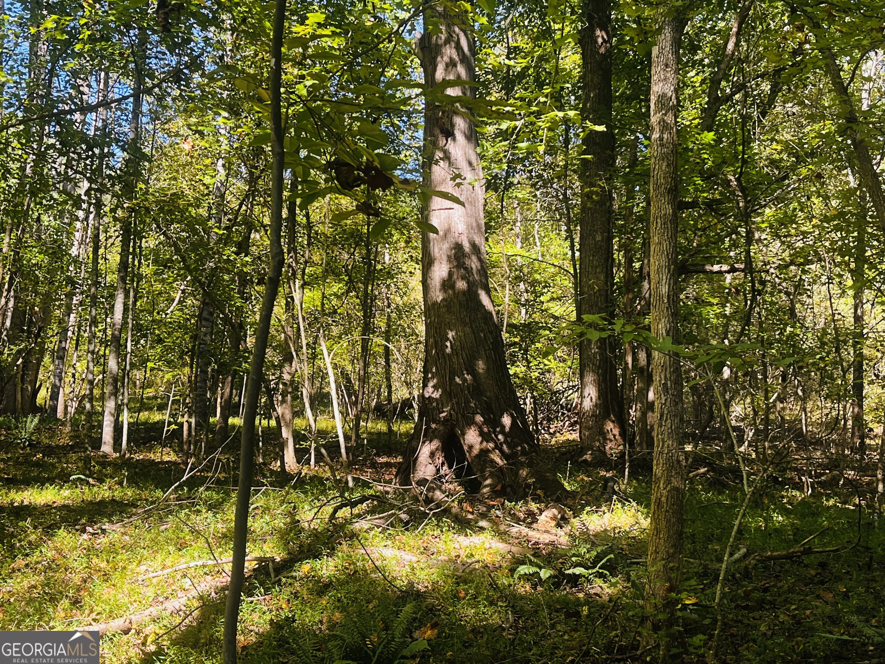 Lot 14 Lakeview Court Baldwin GA 30511