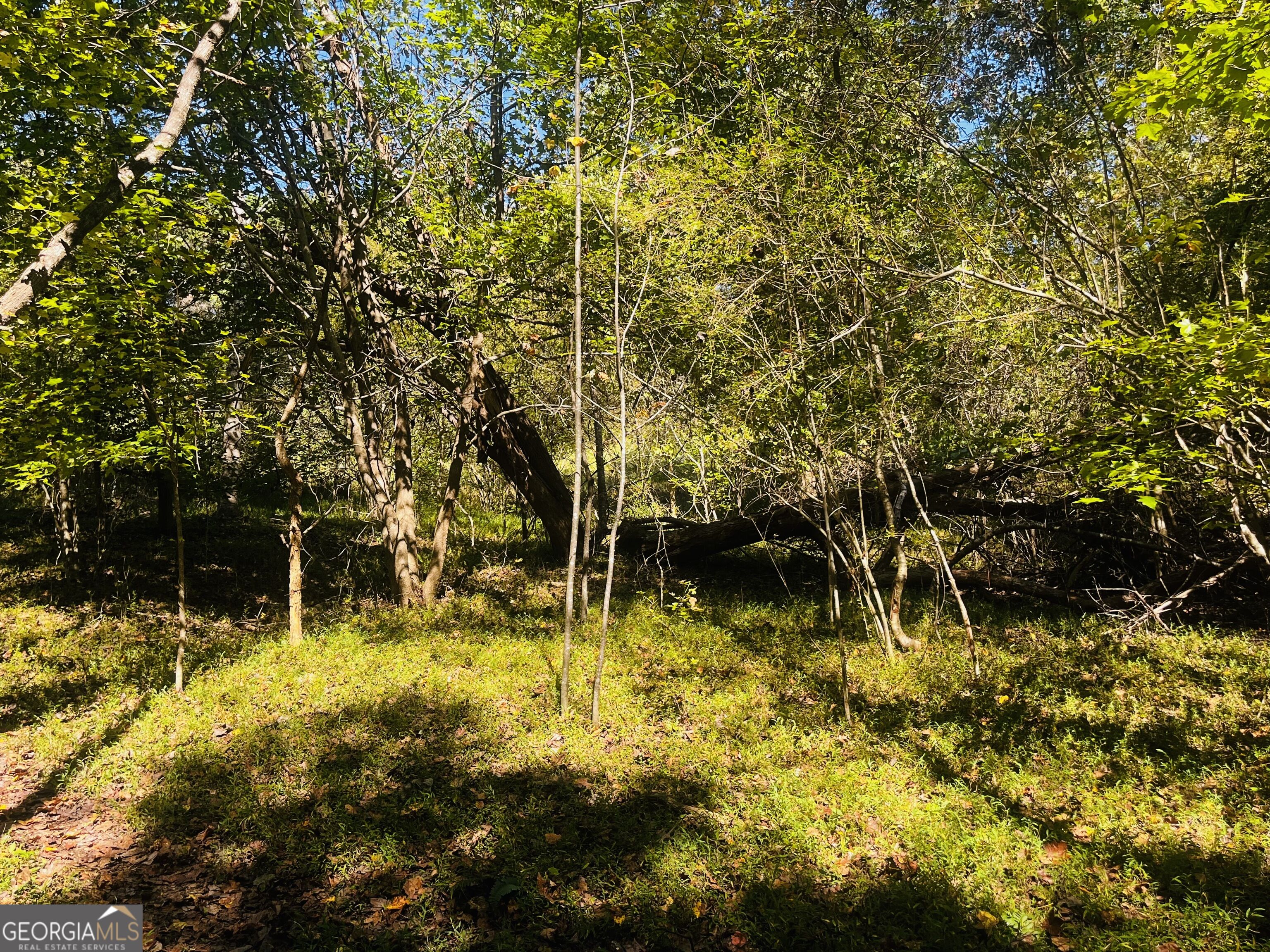 Lot 14 Lakeview Court Baldwin GA 30511