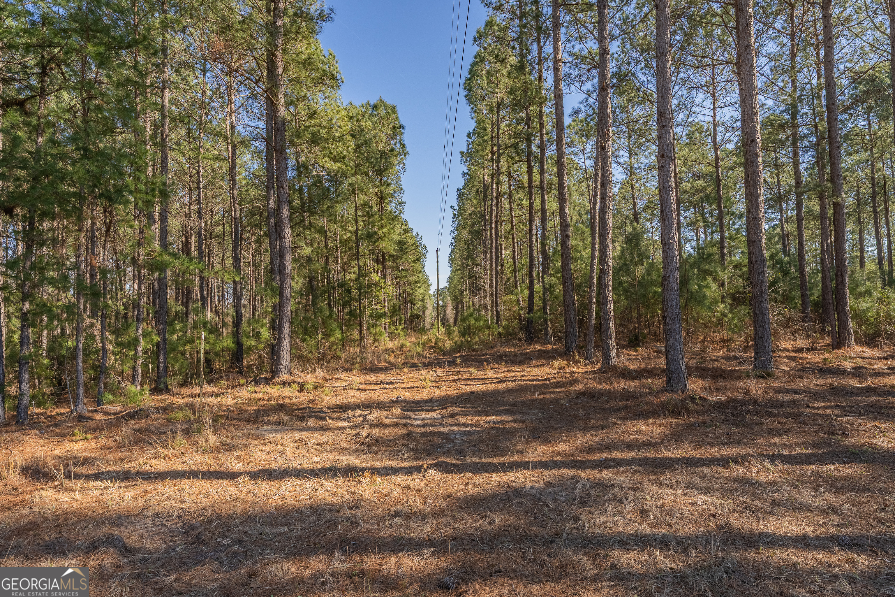 Lot 5 Golf Course Road Eastman GA 31023