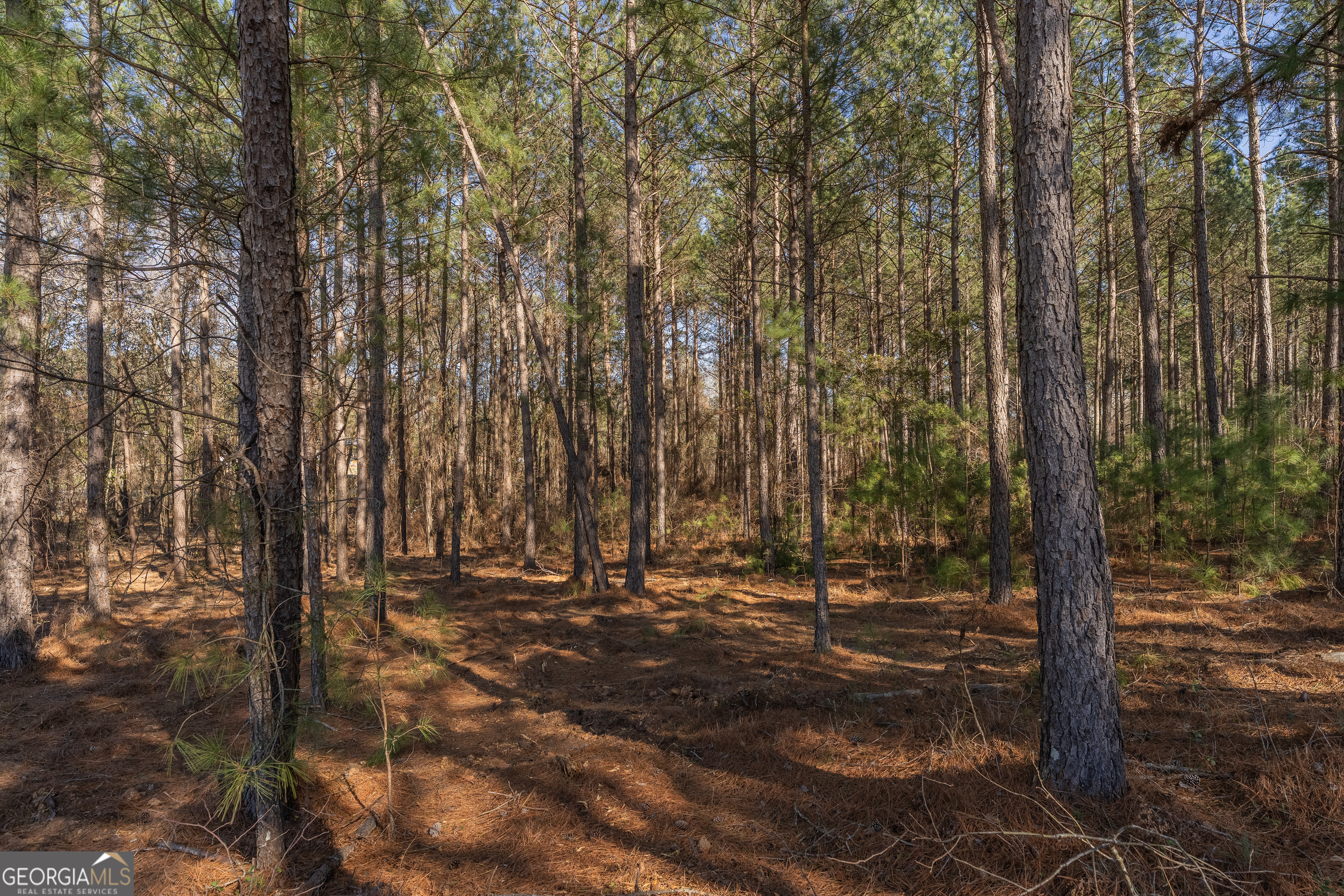 Lot 5 Golf Course Road Eastman GA 31023