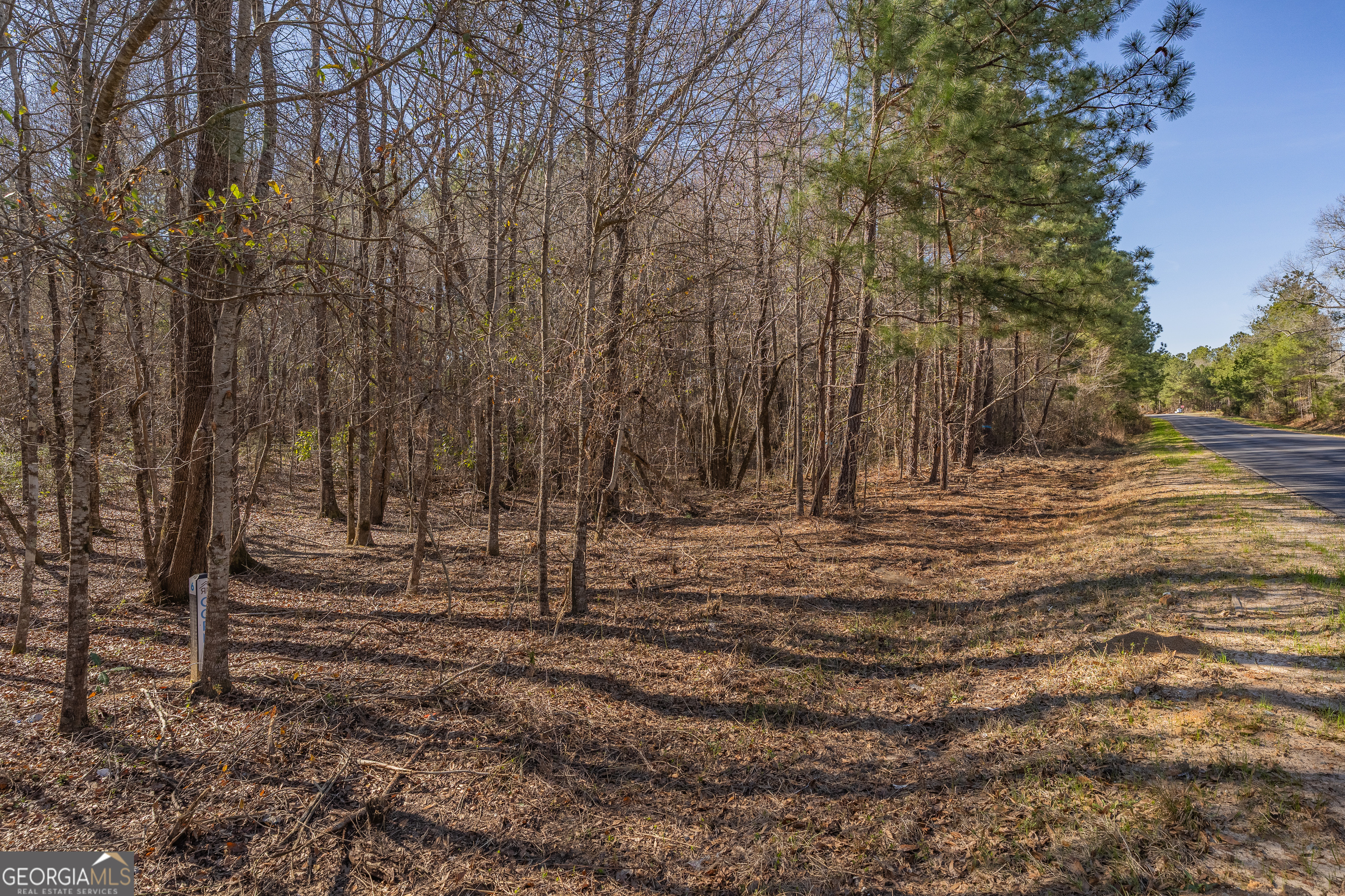Lot 5 Golf Course Road Eastman GA 31023