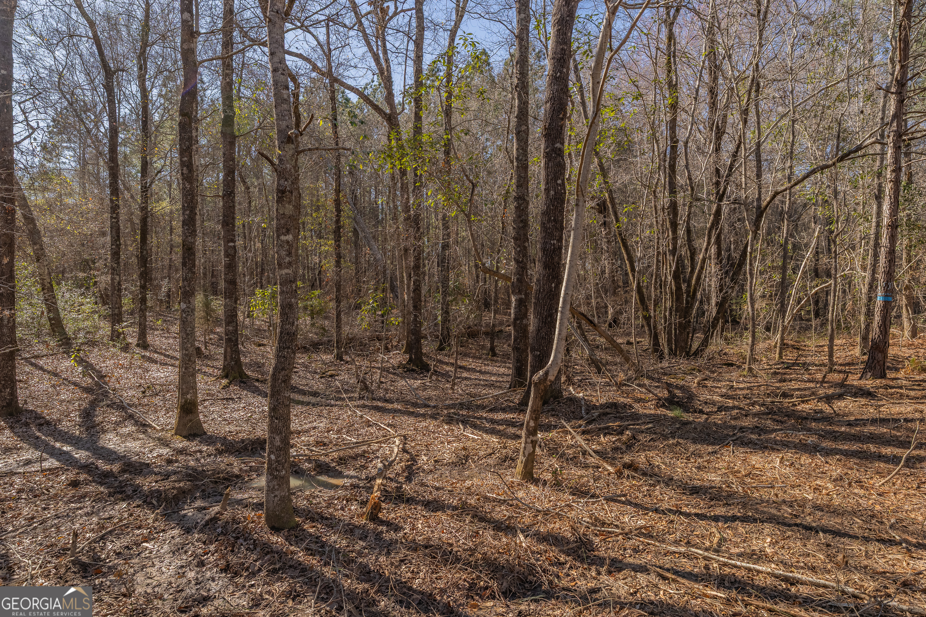 Lot 5 Golf Course Road Eastman GA 31023