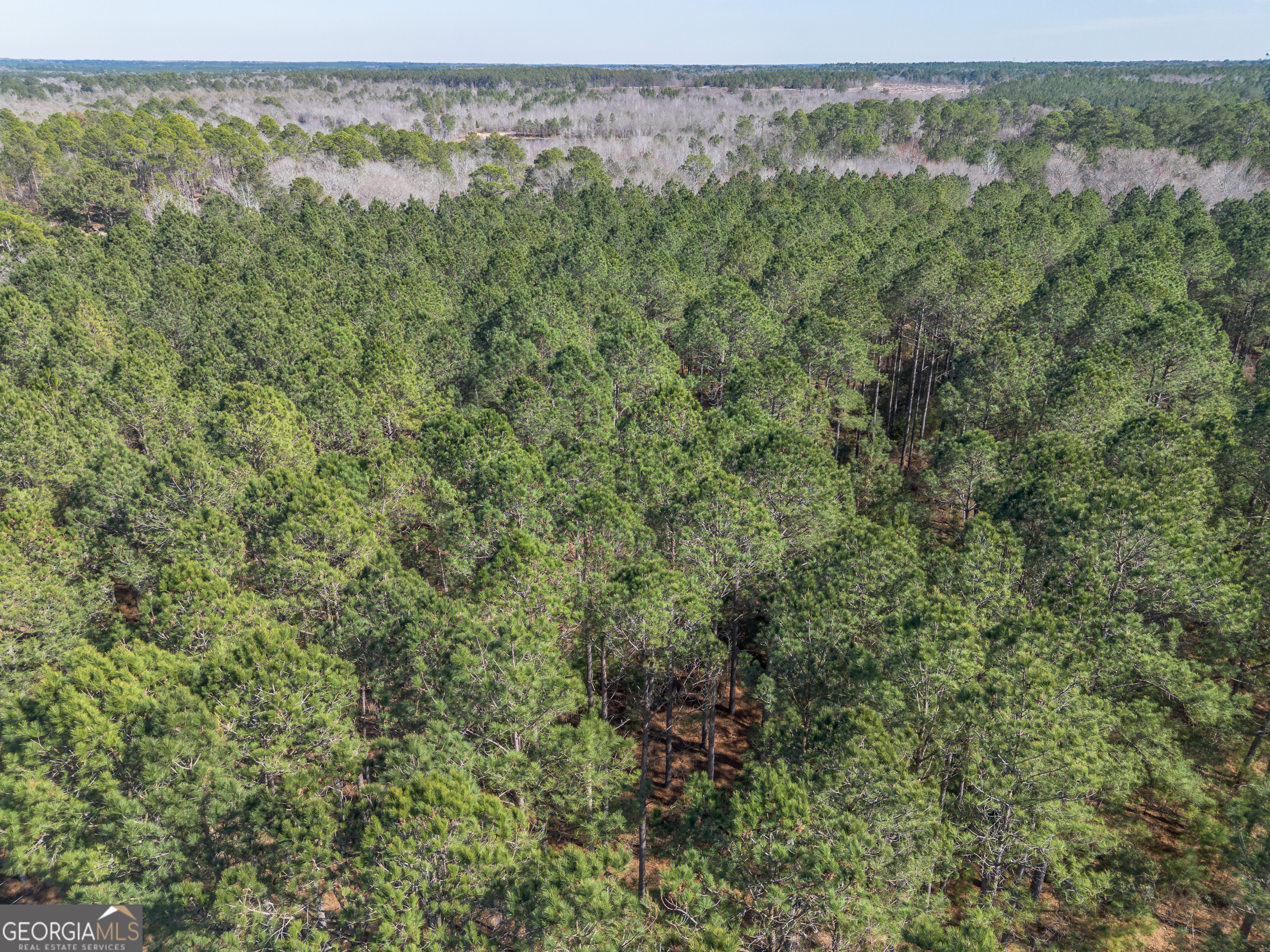 Lot 5 Golf Course Road Eastman GA 31023