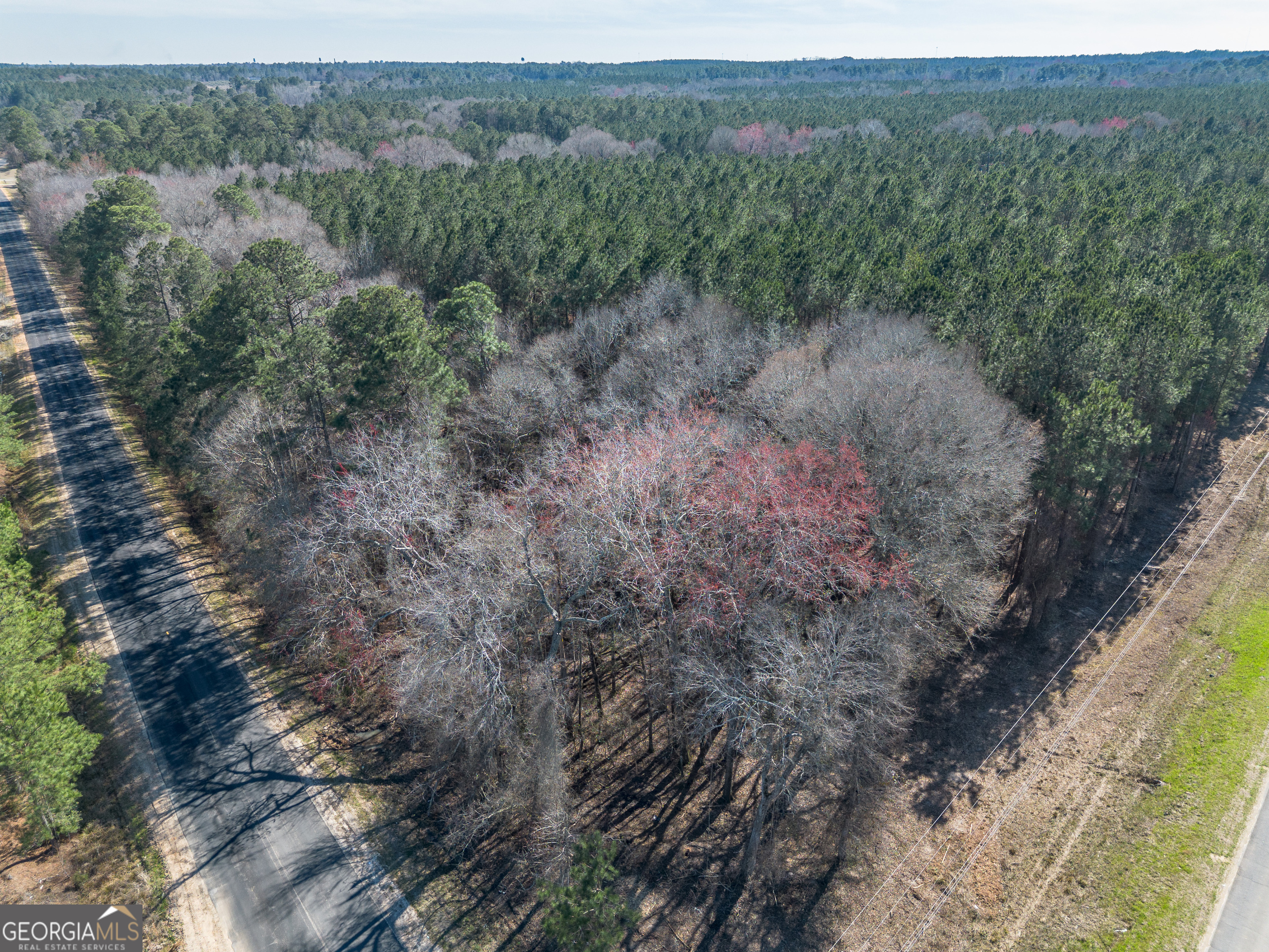 Lot 5 Golf Course Road Eastman GA 31023