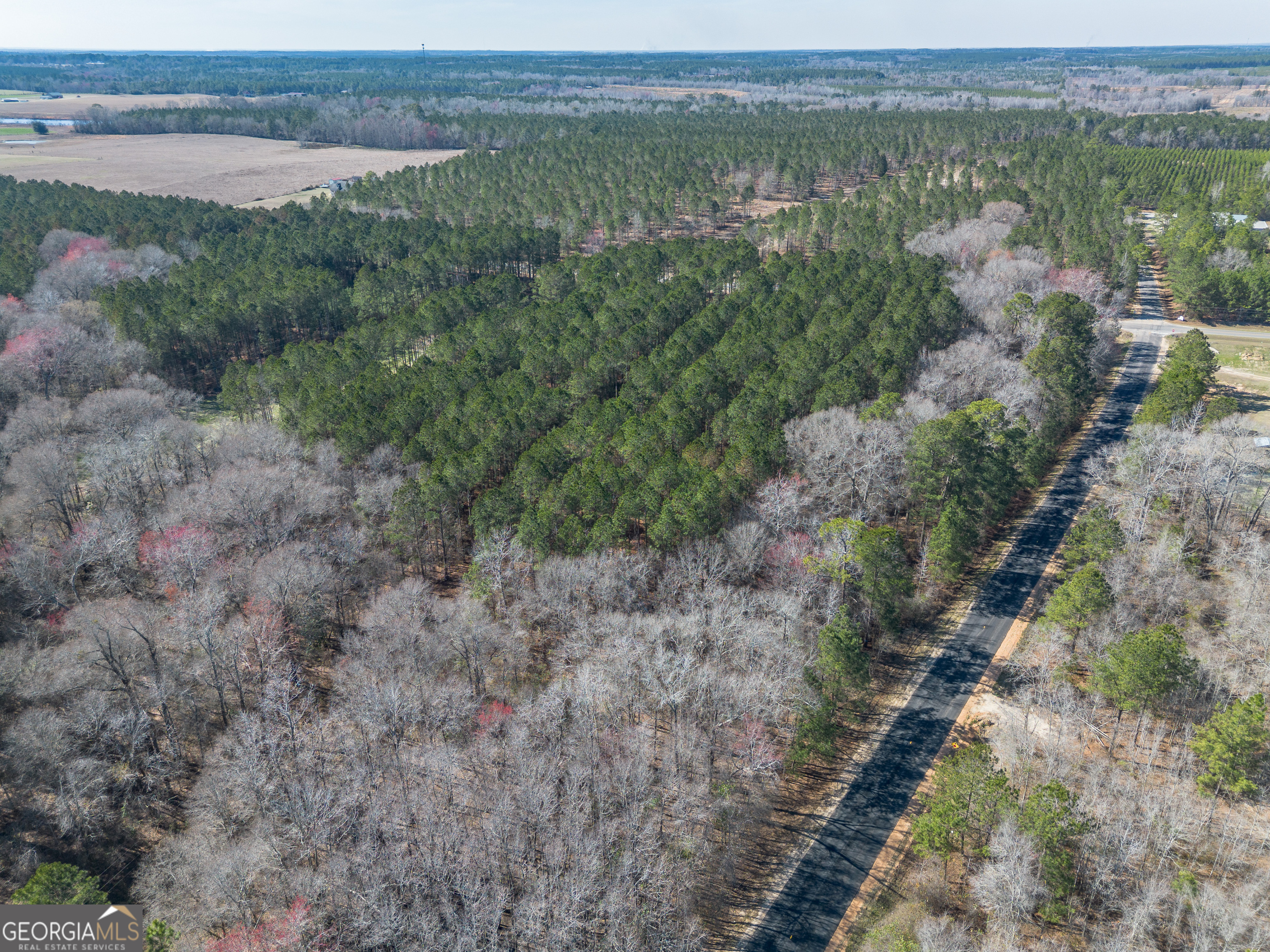 Lot 5 Golf Course Road Eastman GA 31023