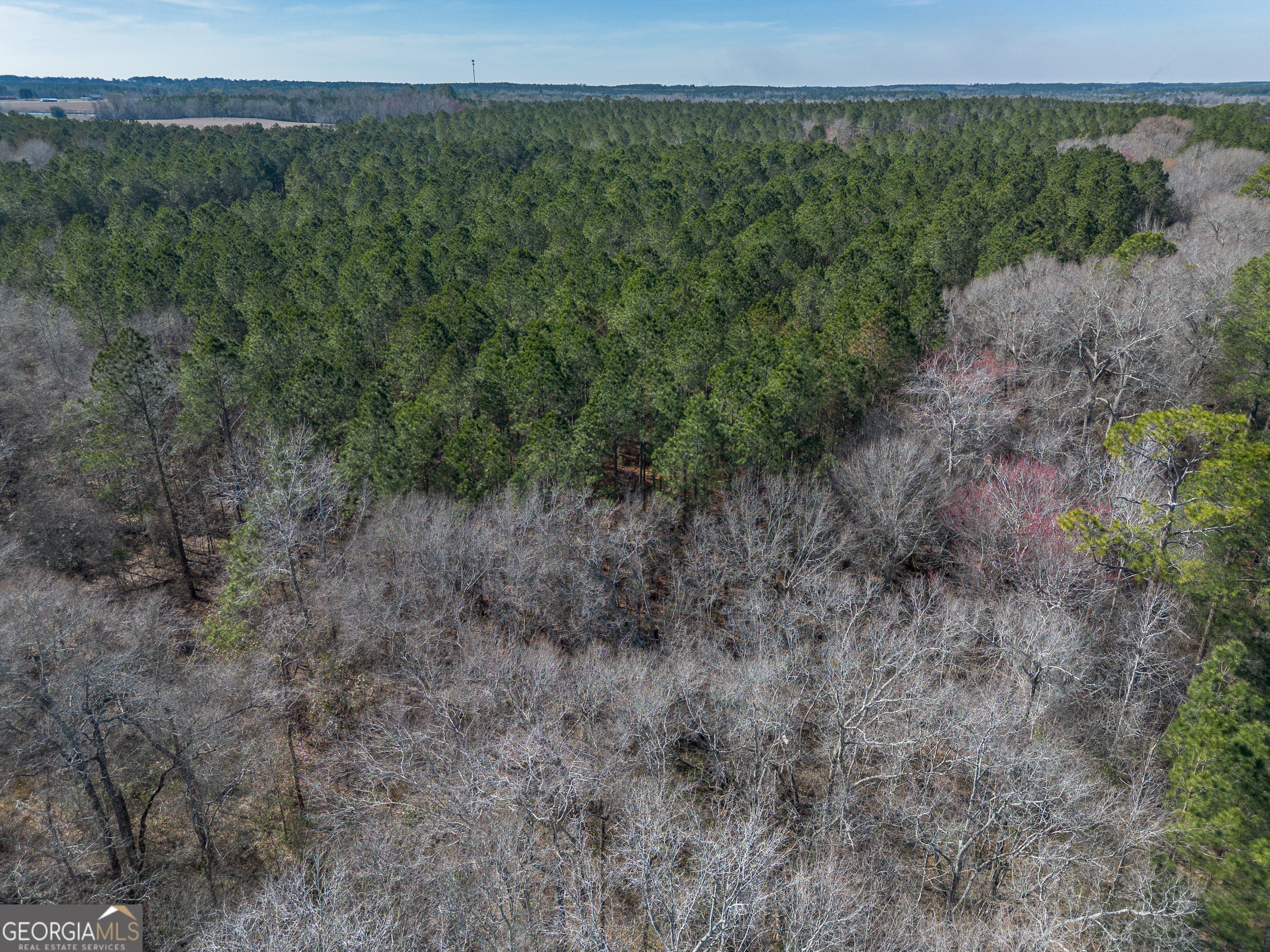 Lot 5 Golf Course Road Eastman GA 31023