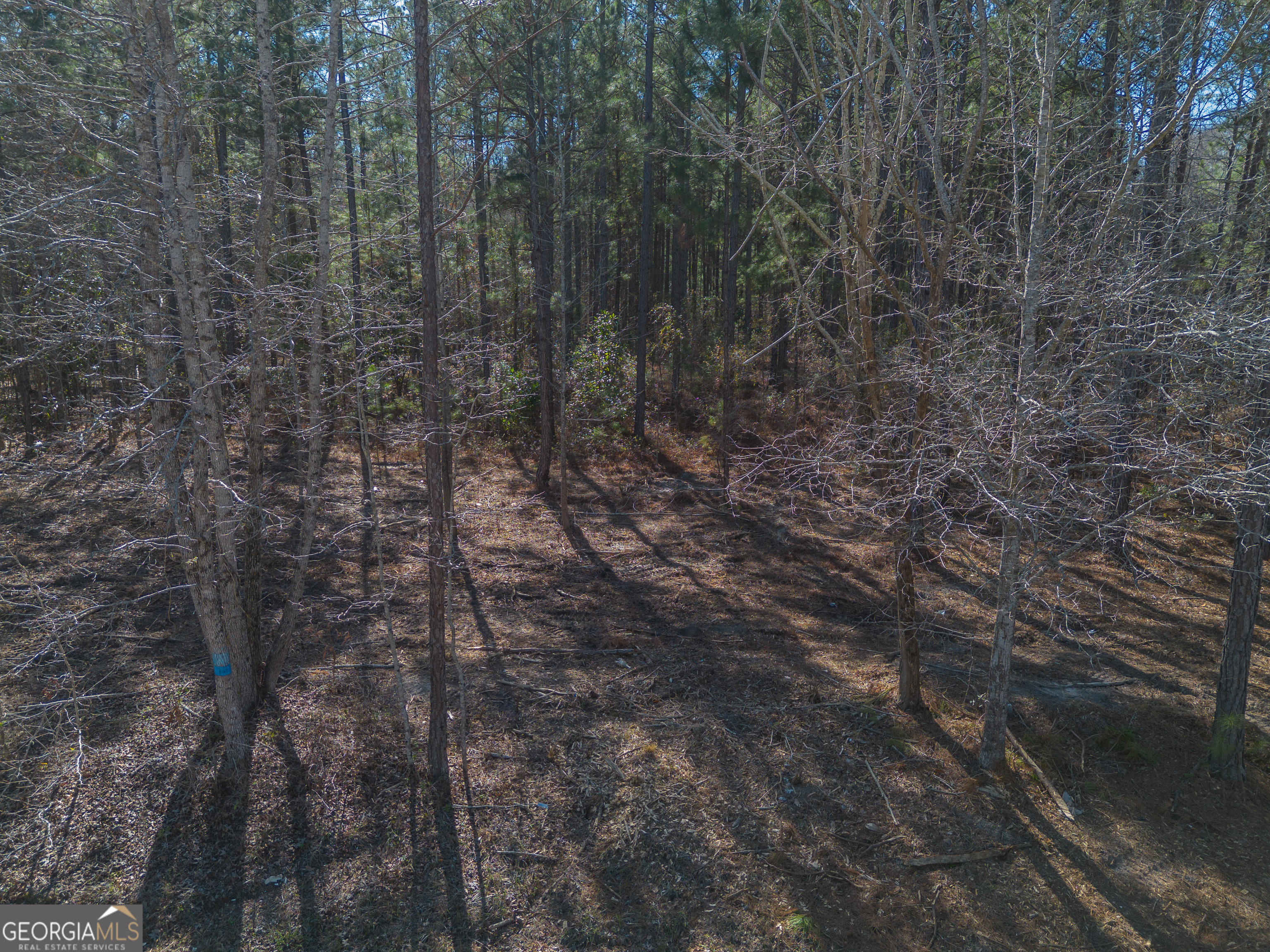 Lot 5 Golf Course Road Eastman GA 31023