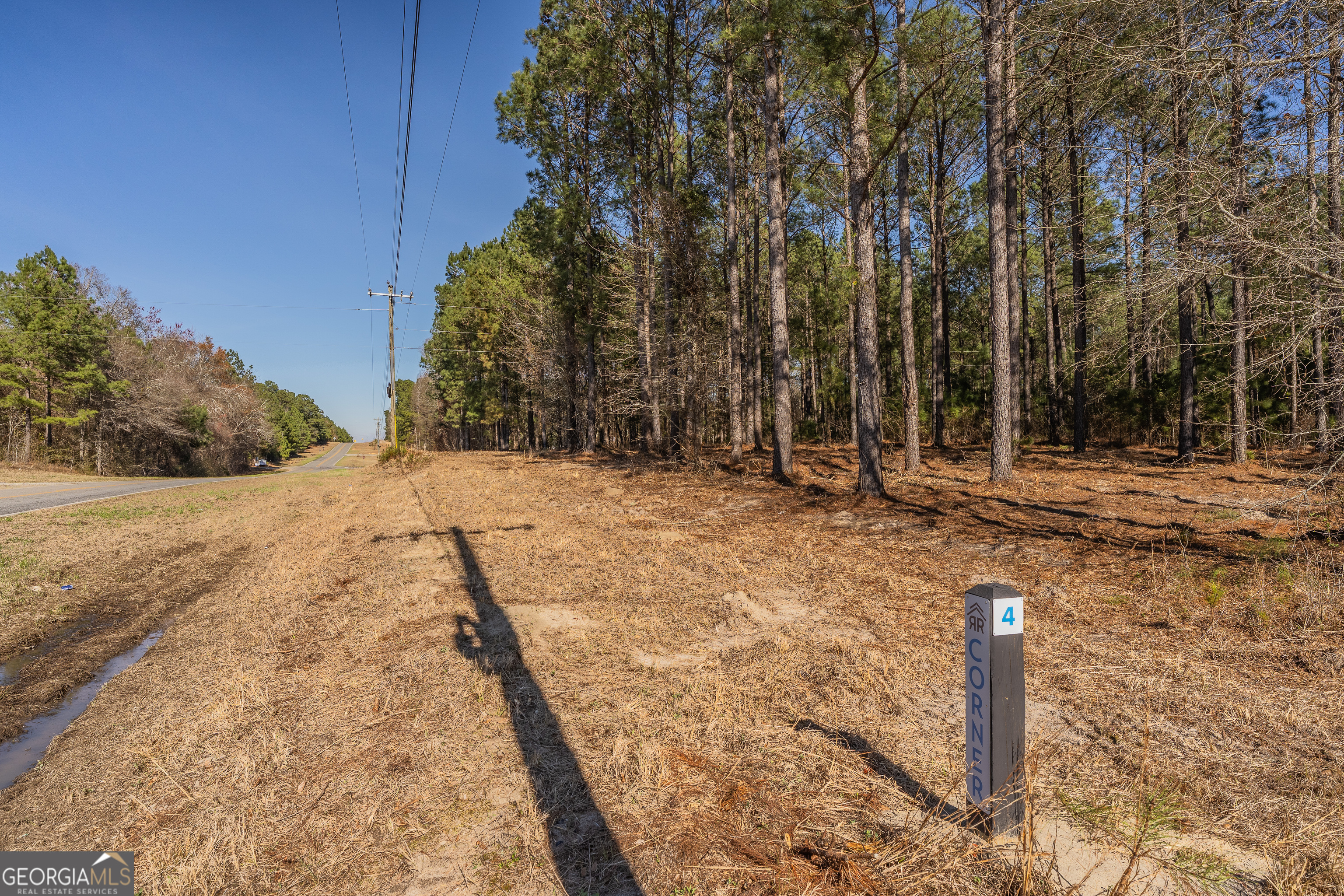 Lot 5 Golf Course Road Eastman GA 31023