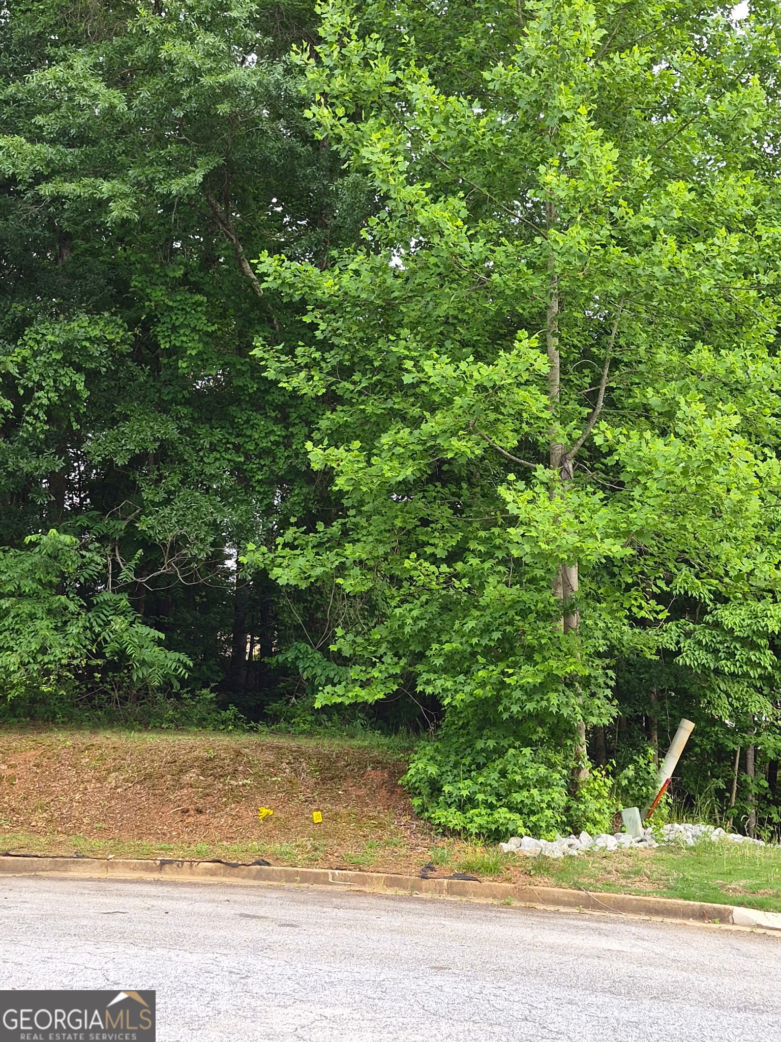 3237 Leyland Way SE Conyers GA 30013