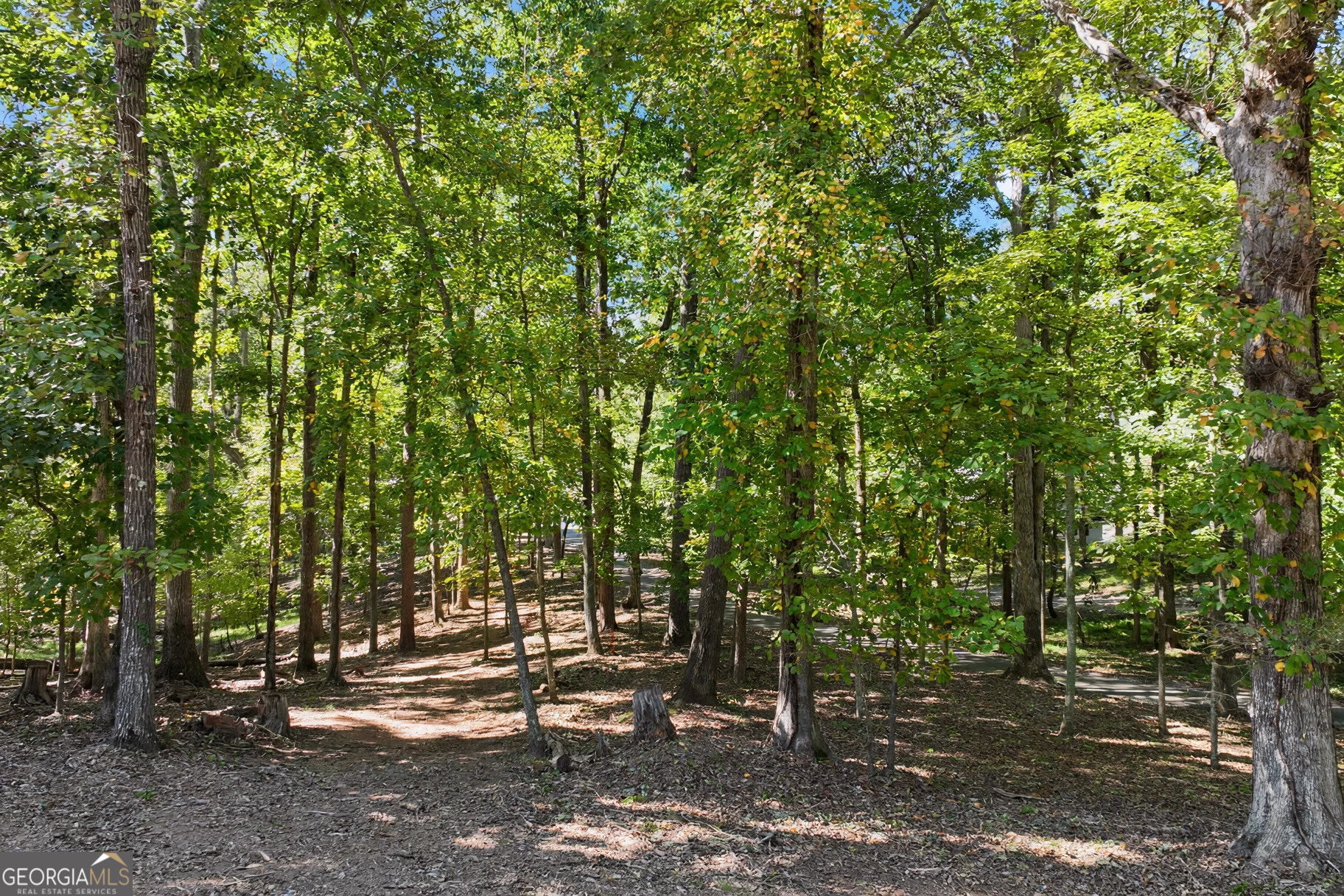 5543 Hidden Harbor Drive Gainesville GA 30504