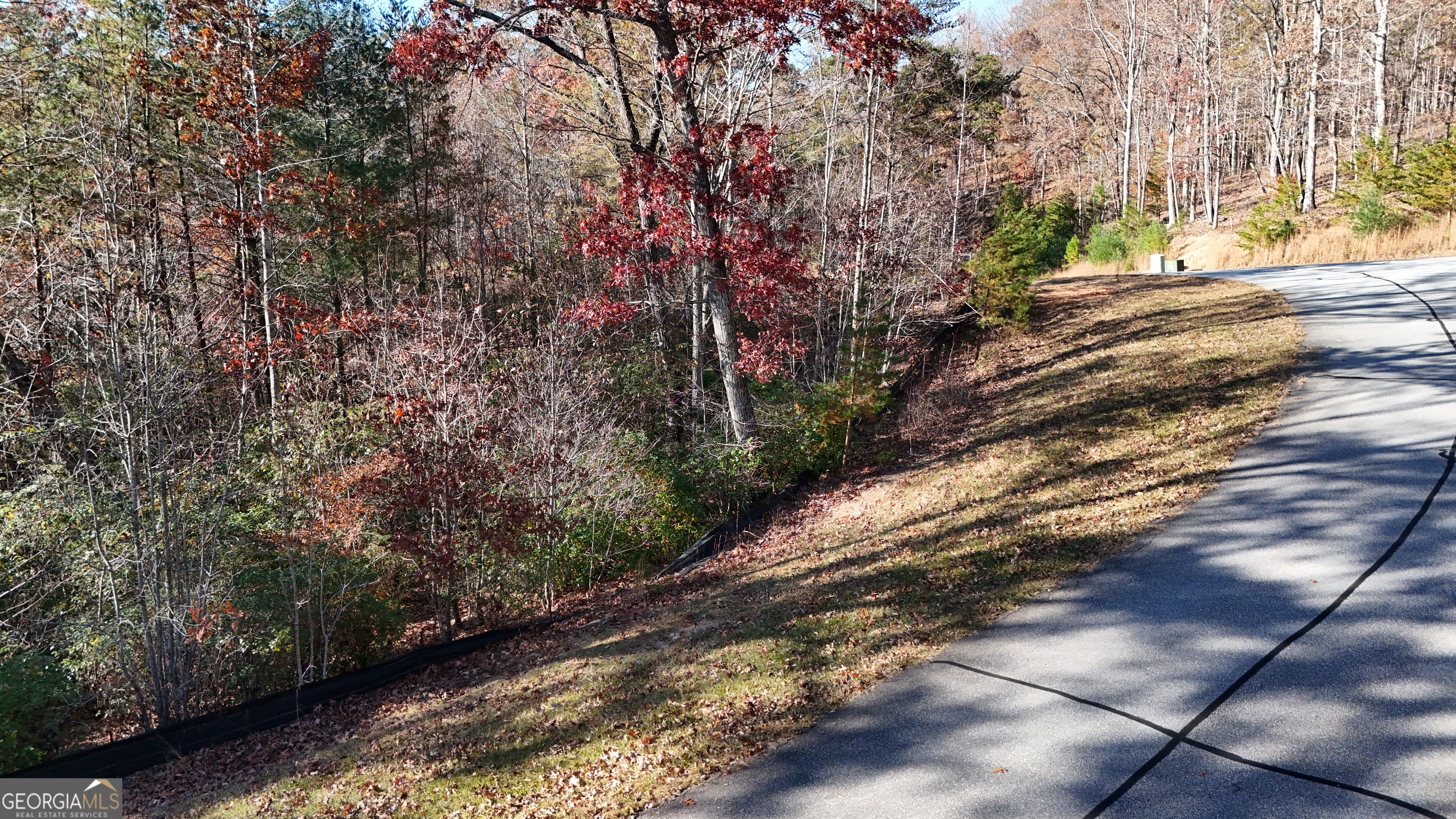 Lot 197 Springwinds Drive Cleveland GA 30528