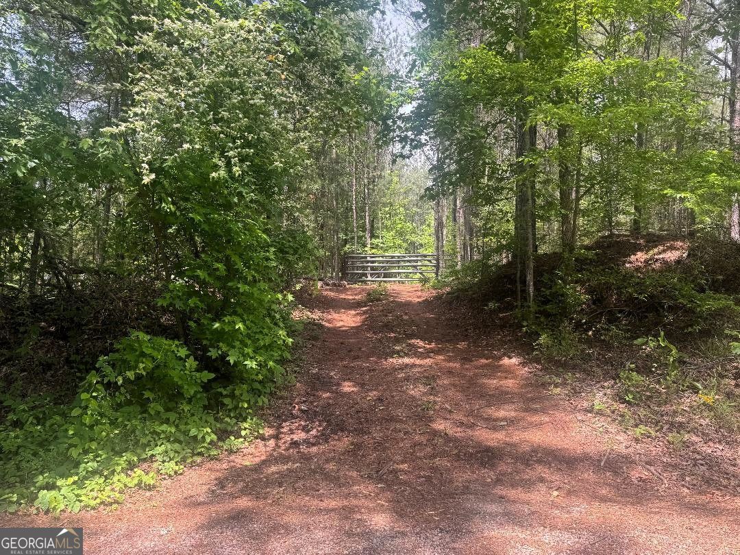 0 Butler Bridge Road Mcdonough GA 30252