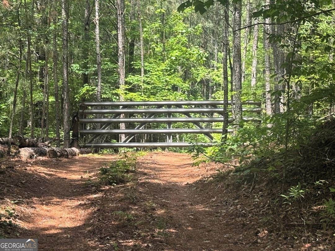 0 Butler Bridge Road Mcdonough GA 30252