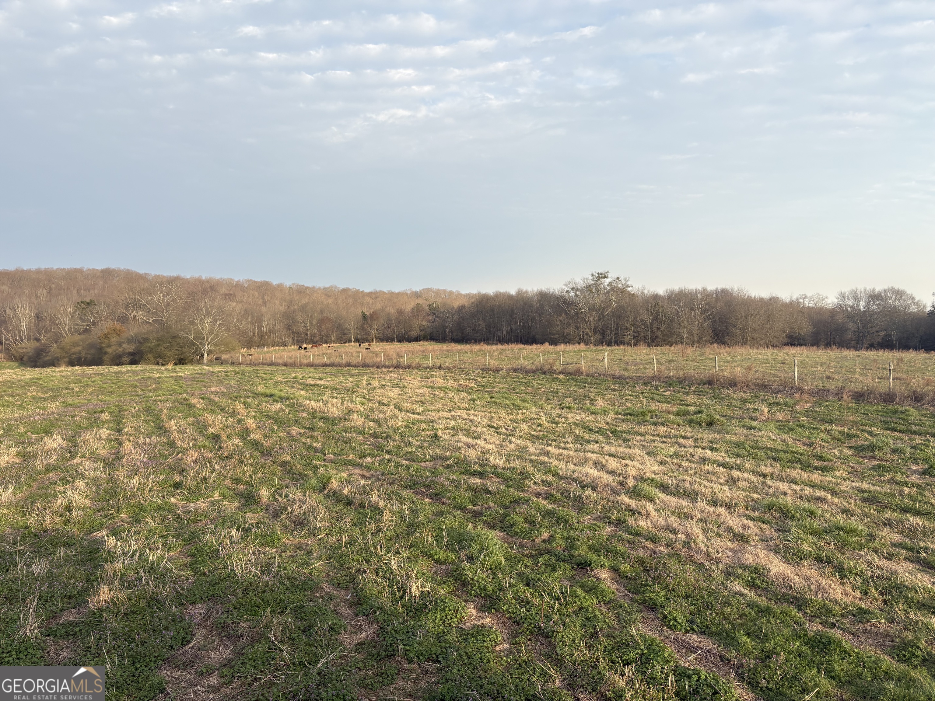 18 W L Williams Commerce GA 30530