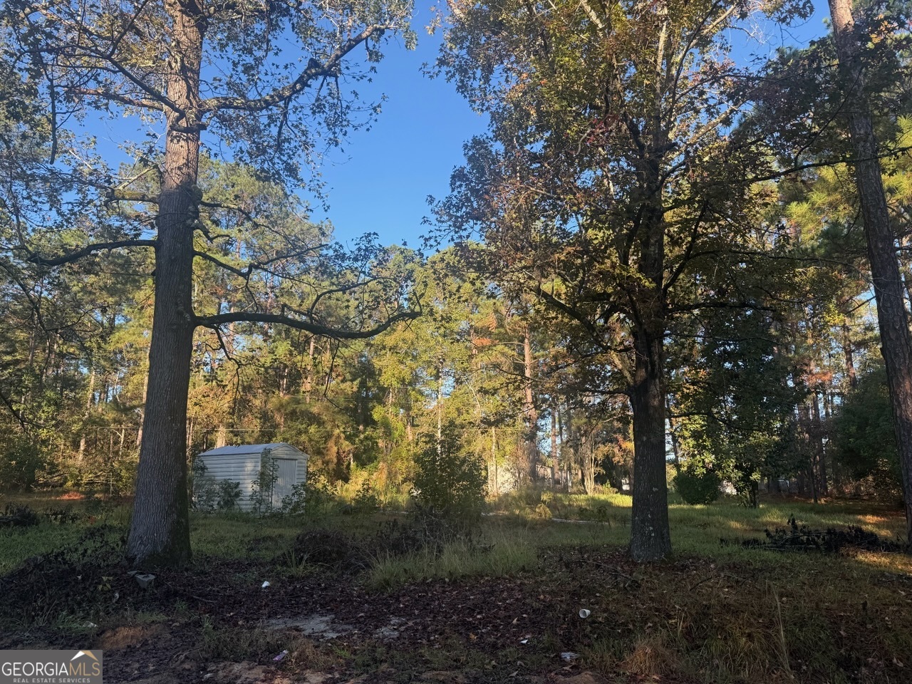 201 Waters Grove Road Sylvania GA 30467