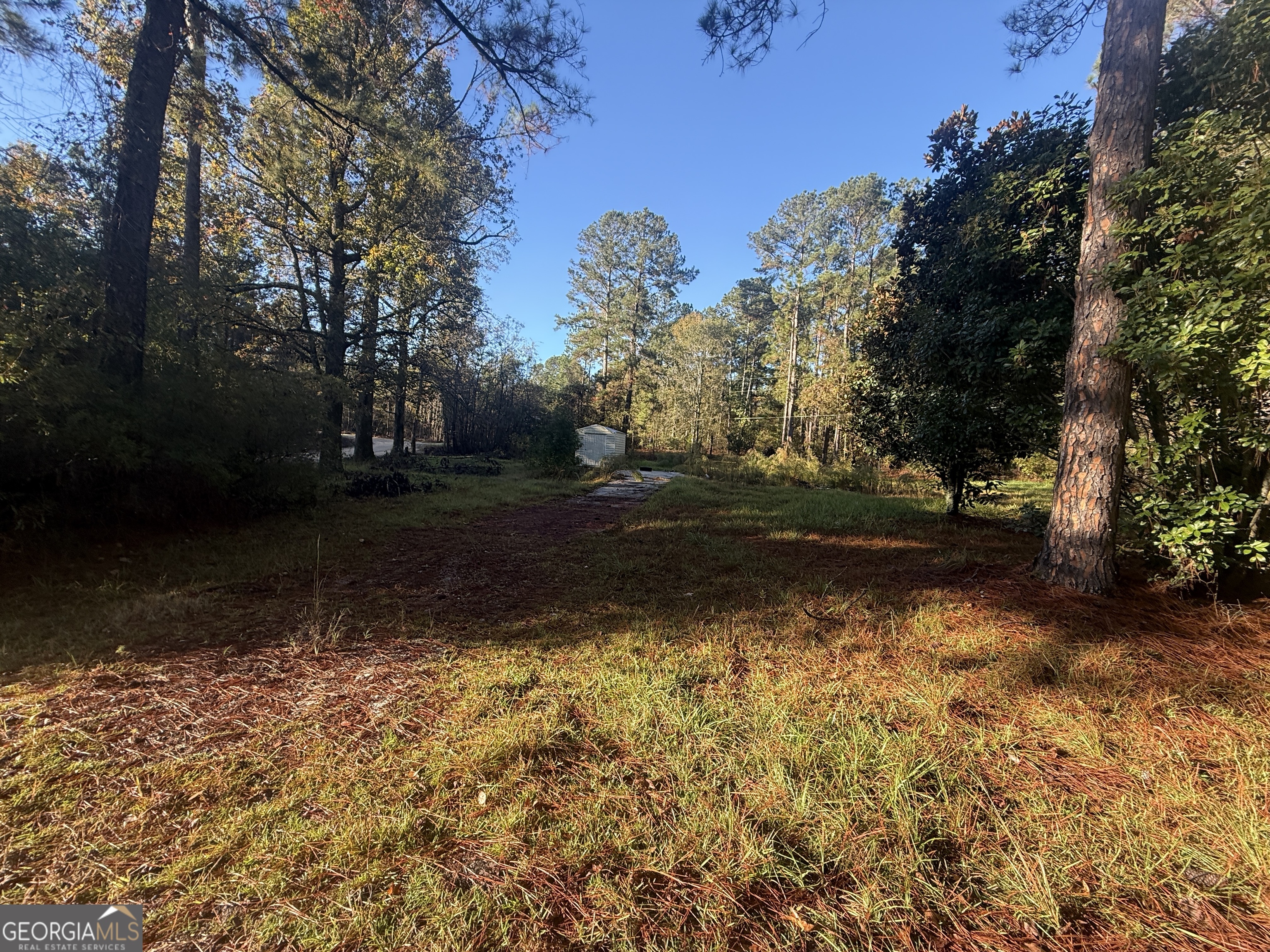 201 Waters Grove Road Sylvania GA 30467