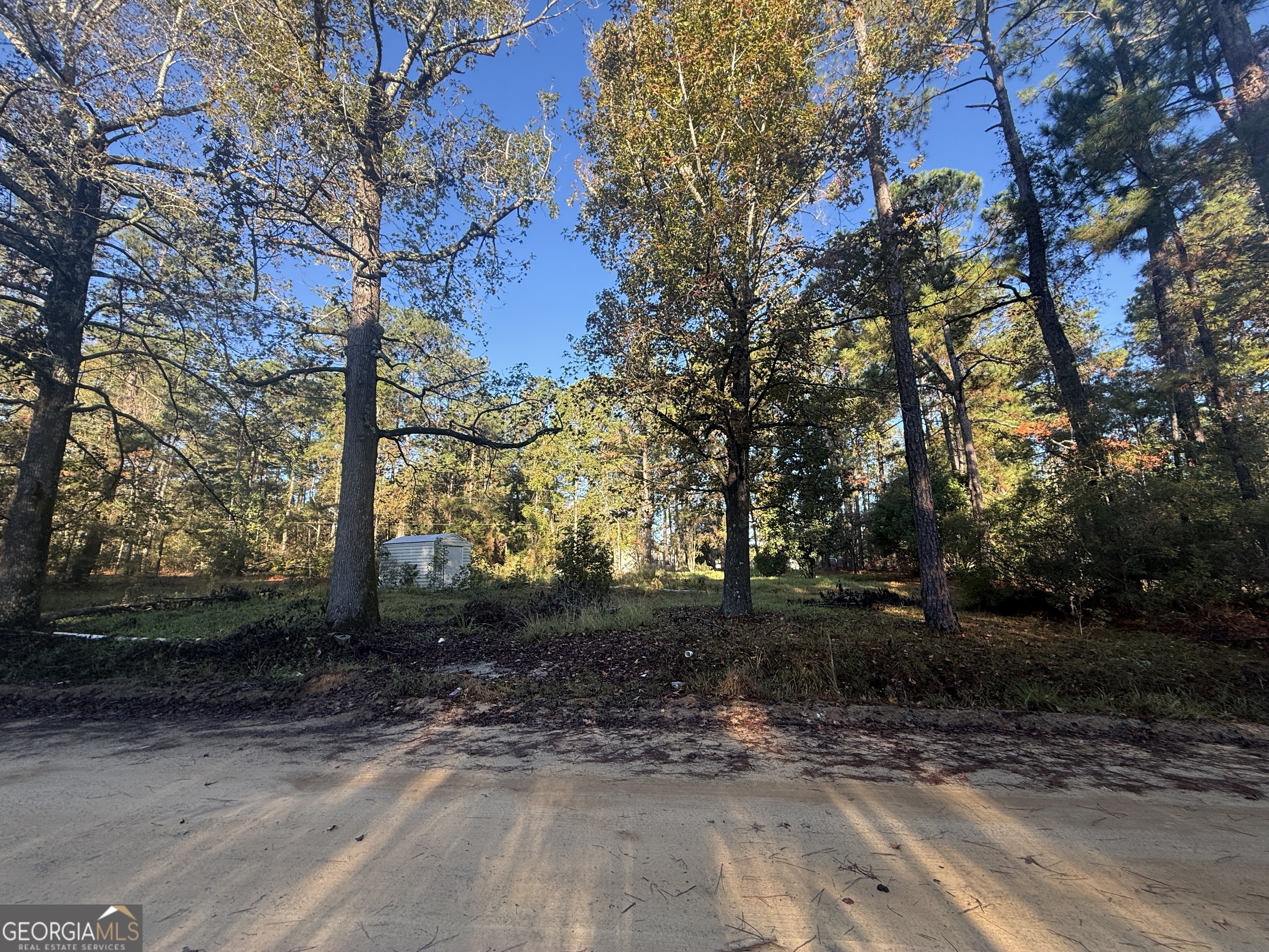 201 Waters Grove Road Sylvania GA 30467