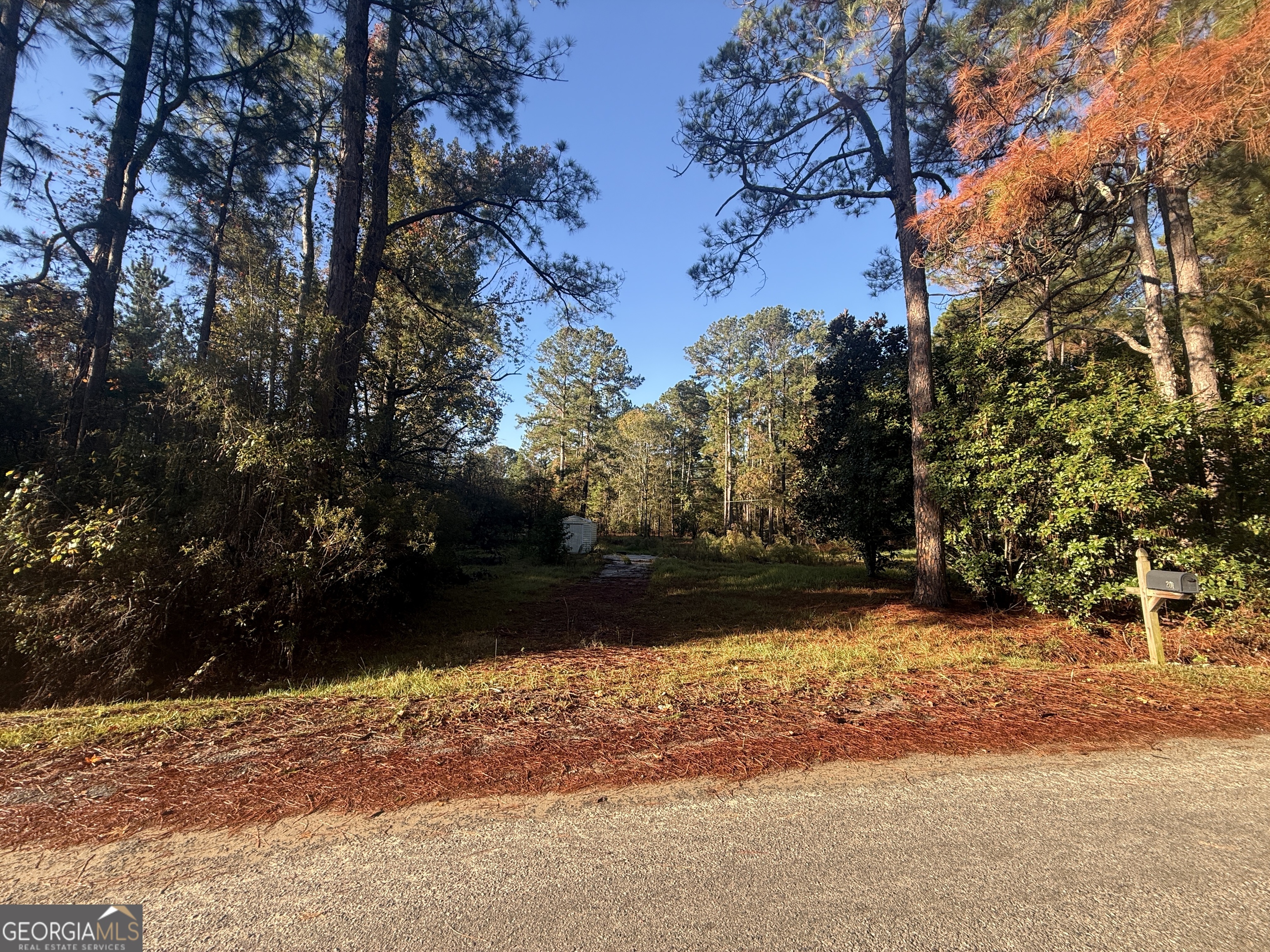 201 Waters Grove Road Sylvania GA 30467