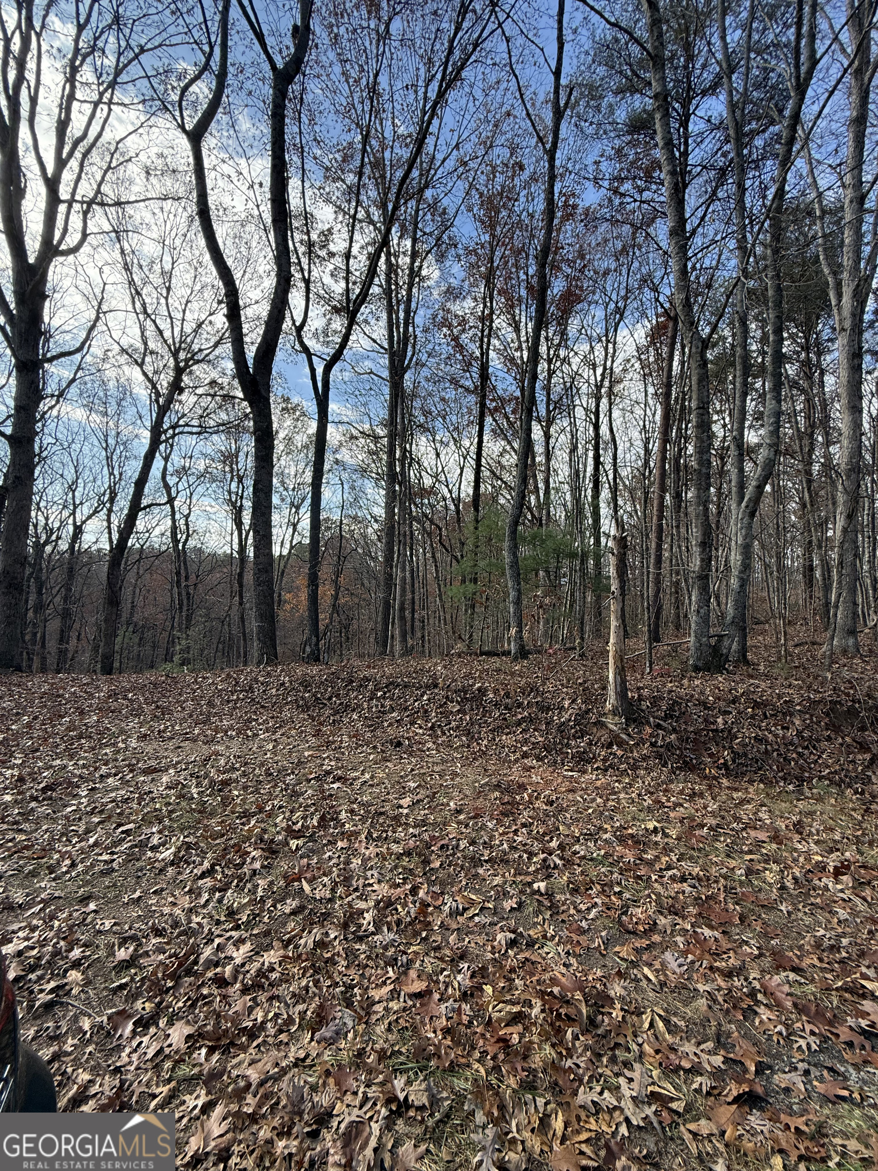 0 Orchard Road Jasper GA 30143