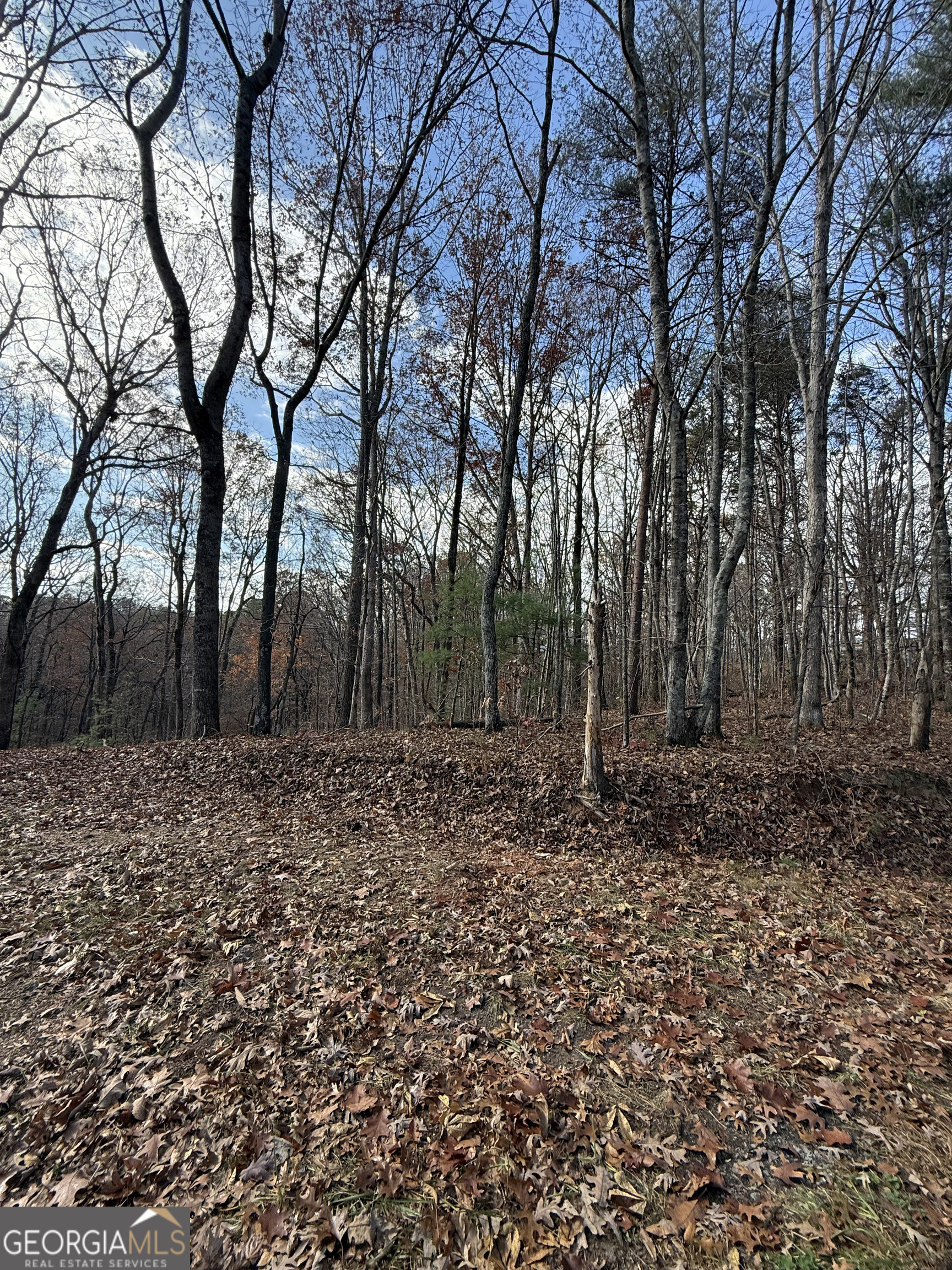 0 Orchard Road Jasper GA 30143