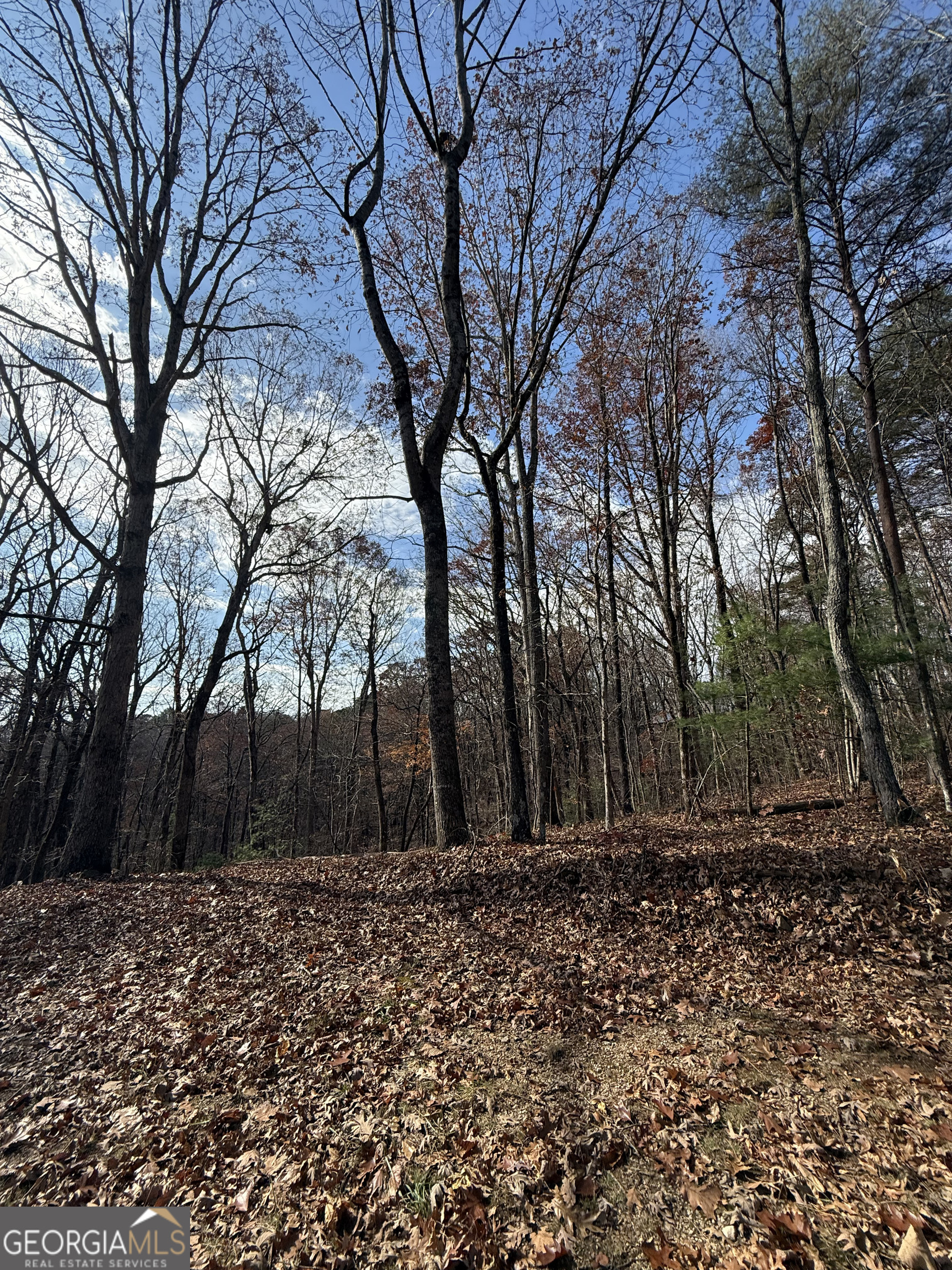 0 Orchard Road Jasper GA 30143