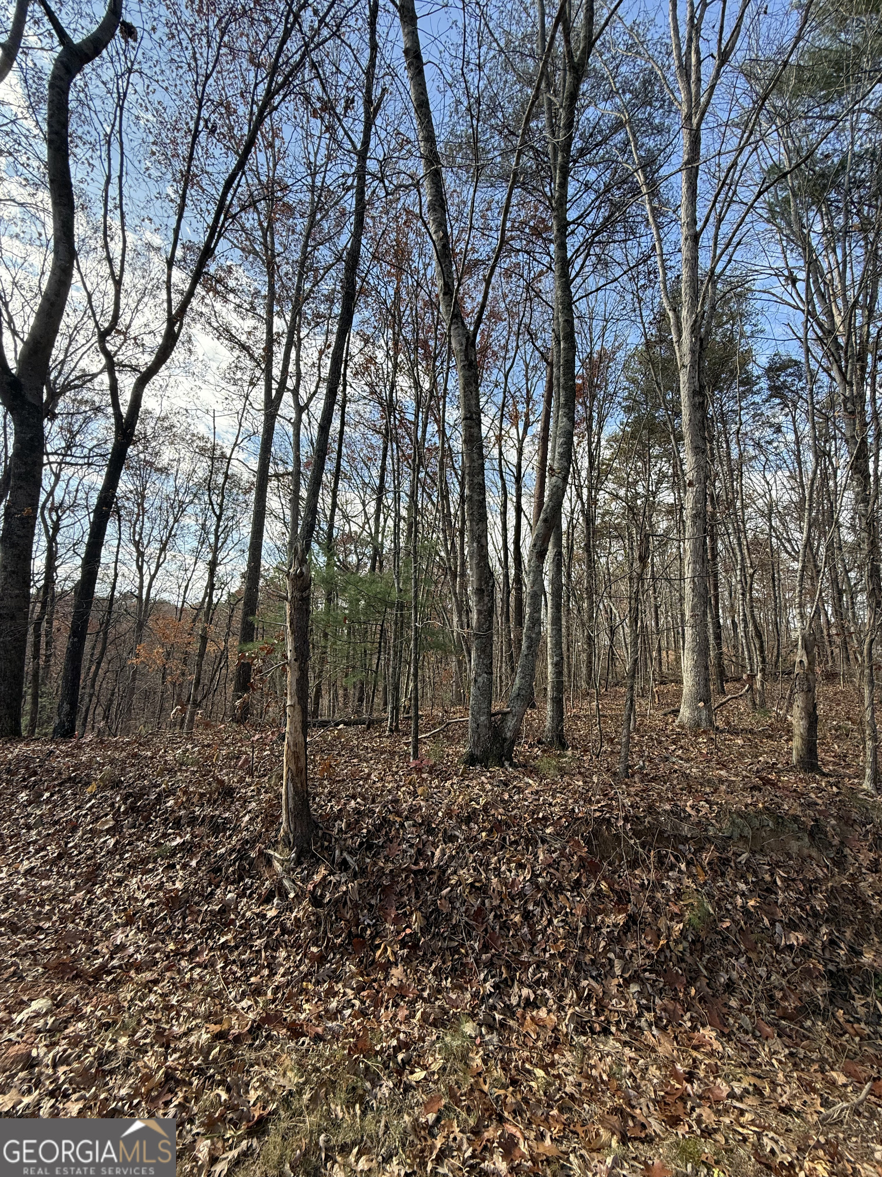 0 Orchard Road Jasper GA 30143