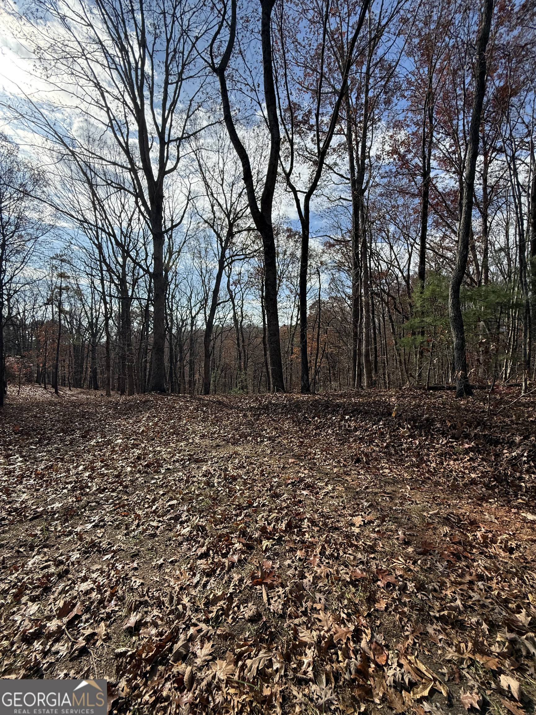 0 Orchard Road Jasper GA 30143