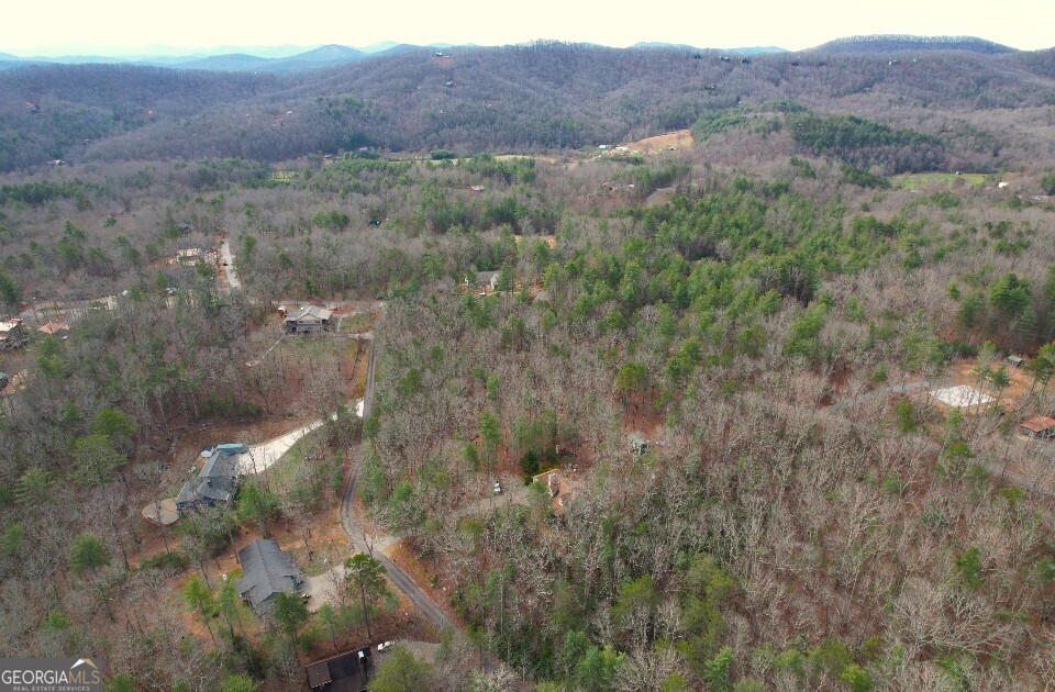 Lot 12 Deer Forest Morganton GA 30560
