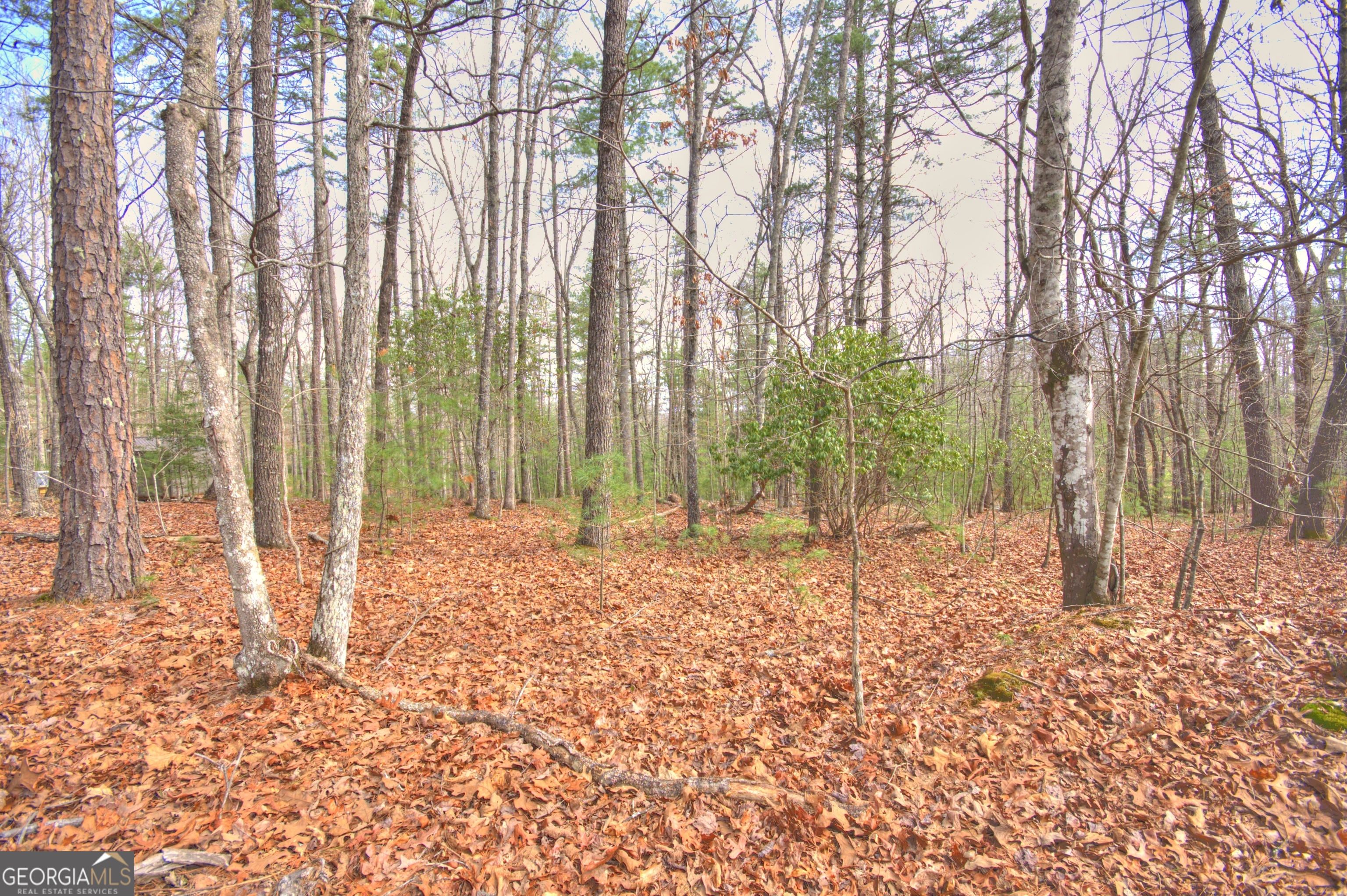 Lot 12 Deer Forest Morganton GA 30560