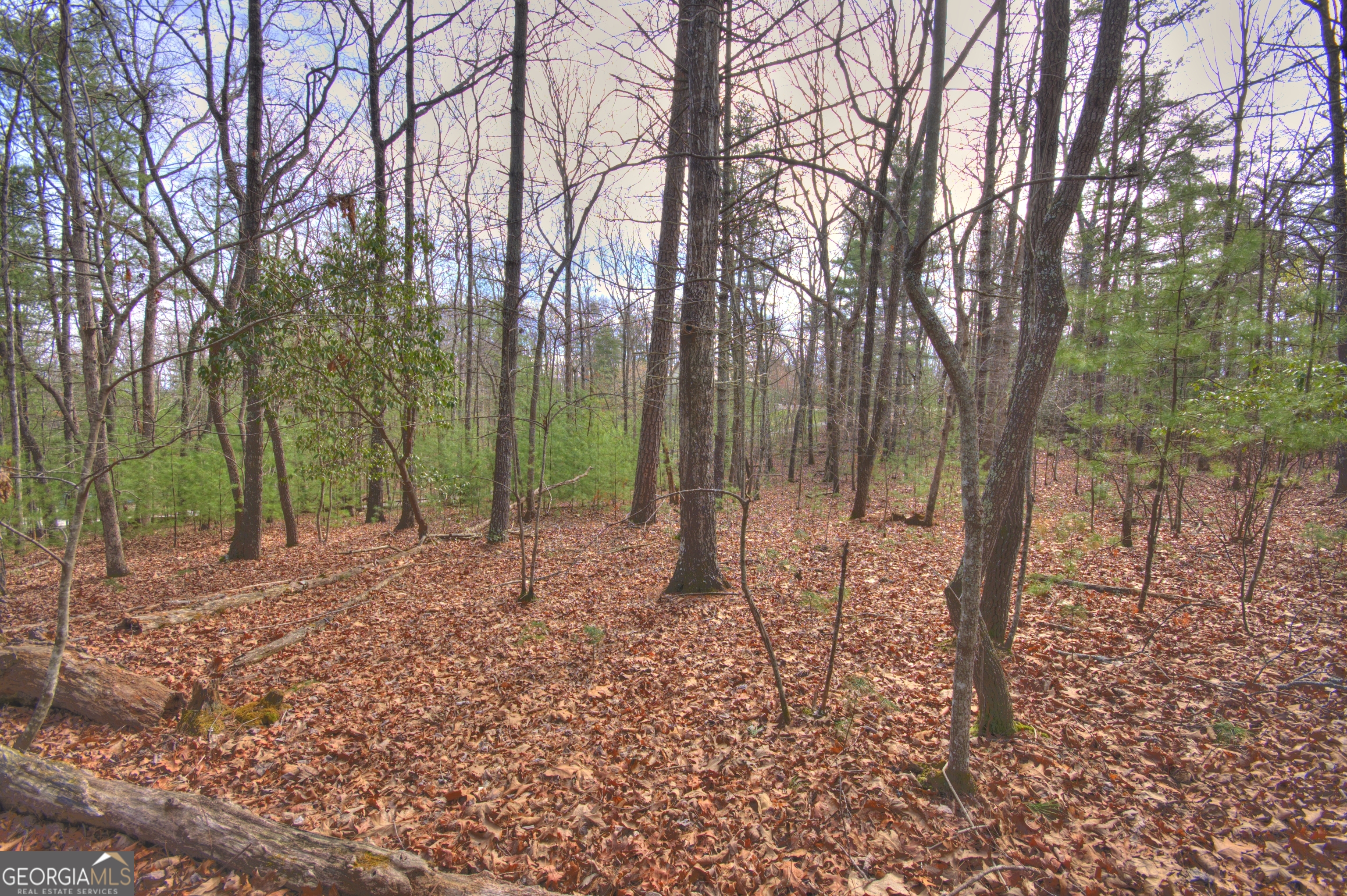 Lot 12 Deer Forest Morganton GA 30560