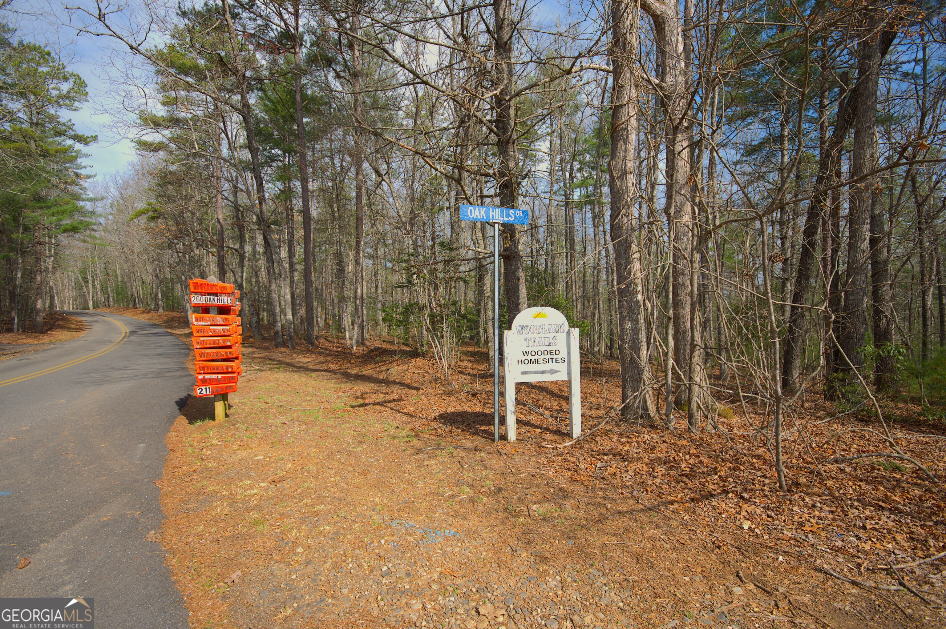 Lot 12 Deer Forest Morganton GA 30560