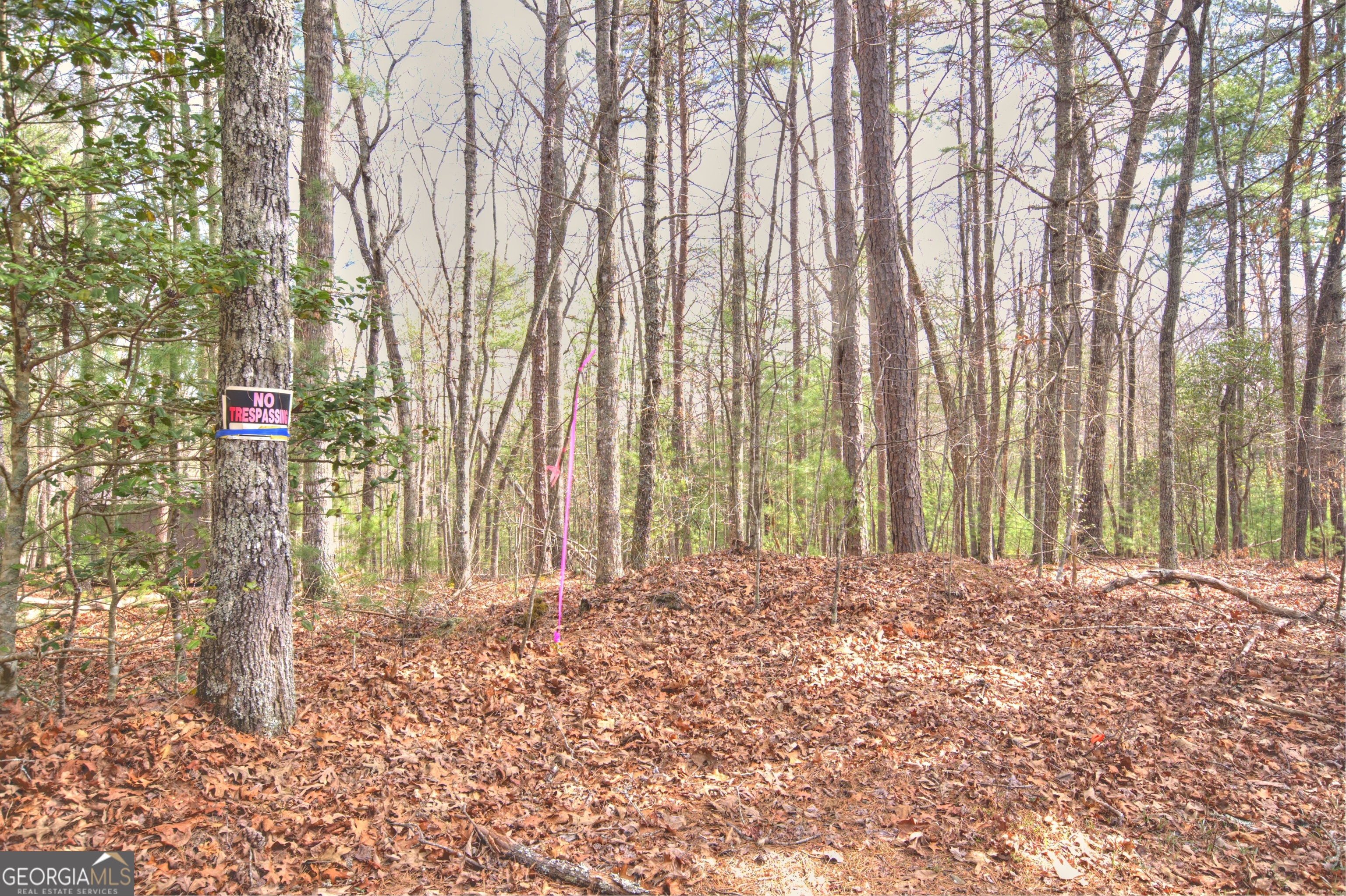 Lot 12 Deer Forest Morganton GA 30560