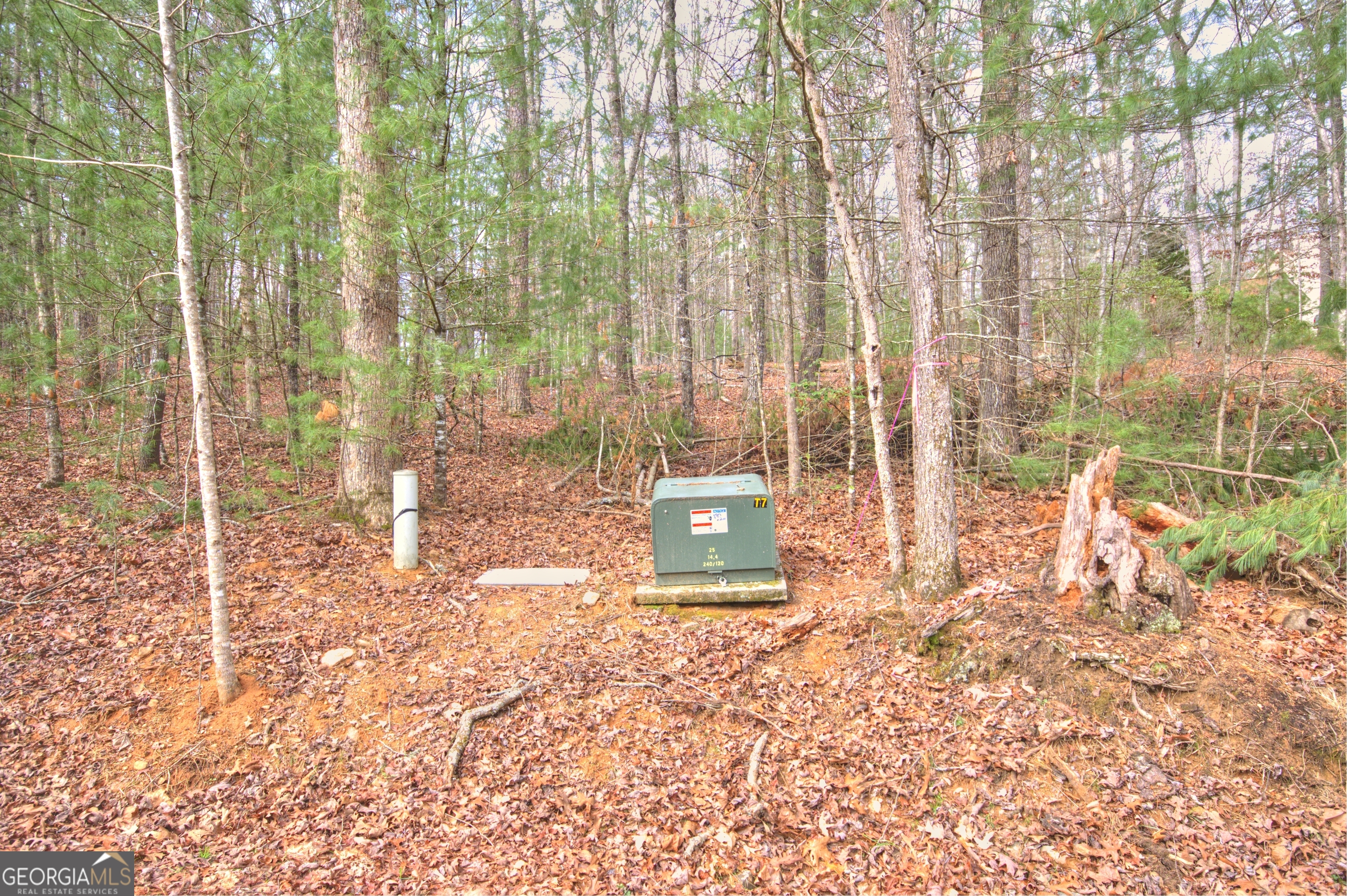 Lot 12 Deer Forest Morganton GA 30560