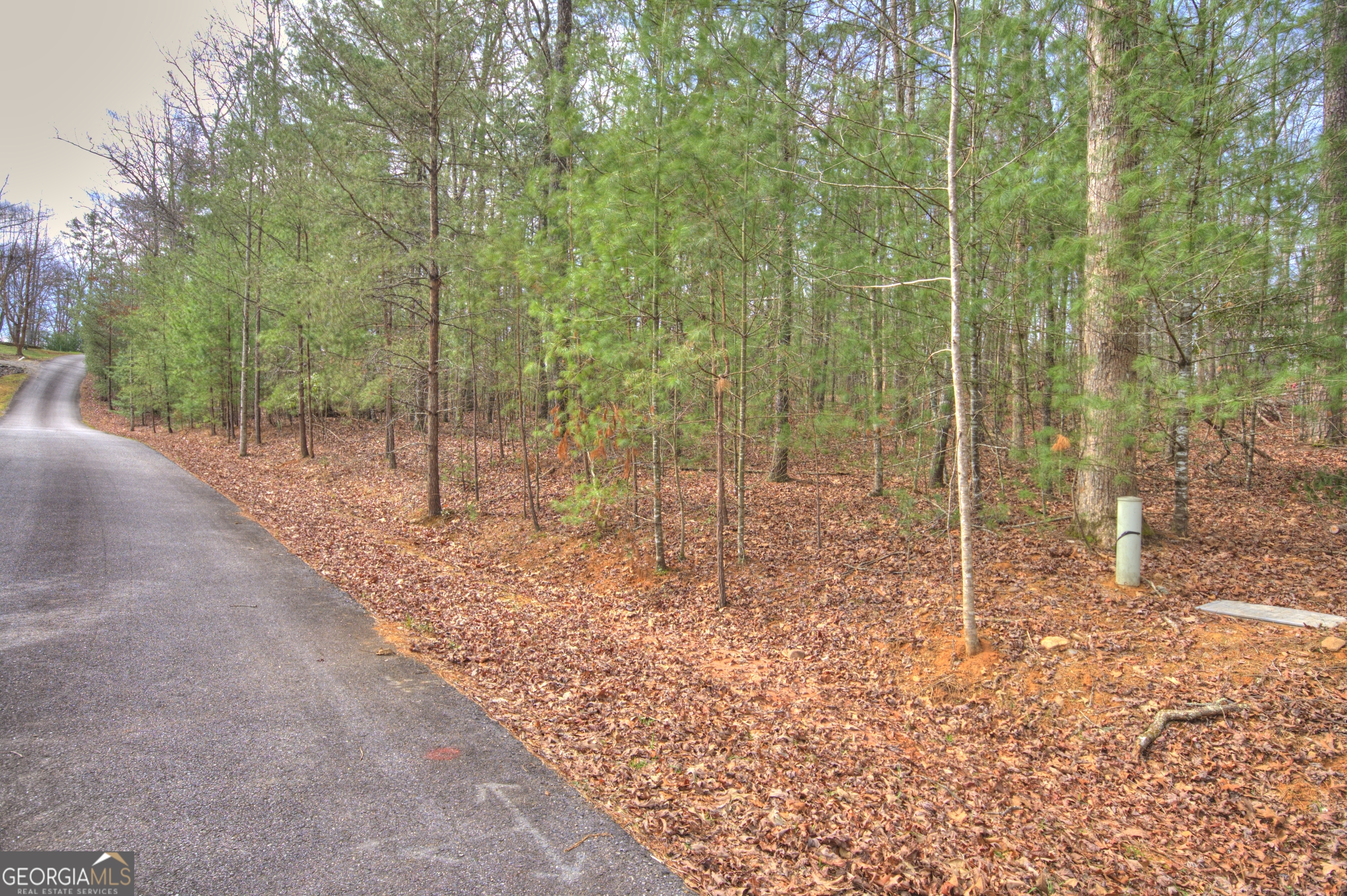 Lot 12 Deer Forest Morganton GA 30560