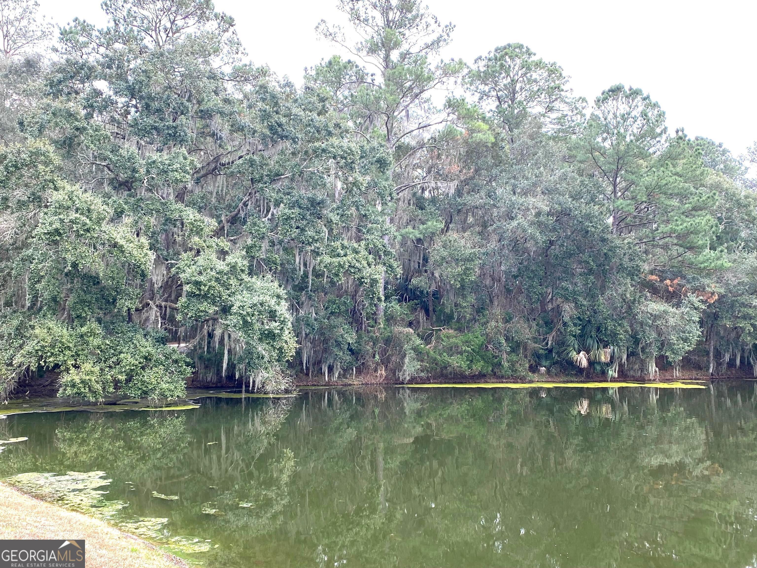 1 Old Cane Mill Drive Darien GA 31305
