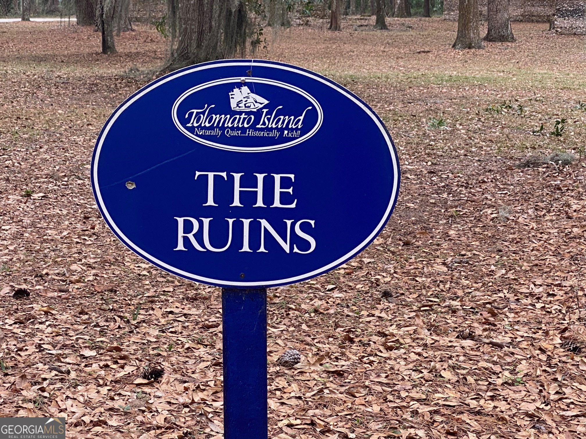 1 Old Cane Mill Drive Darien GA 31305