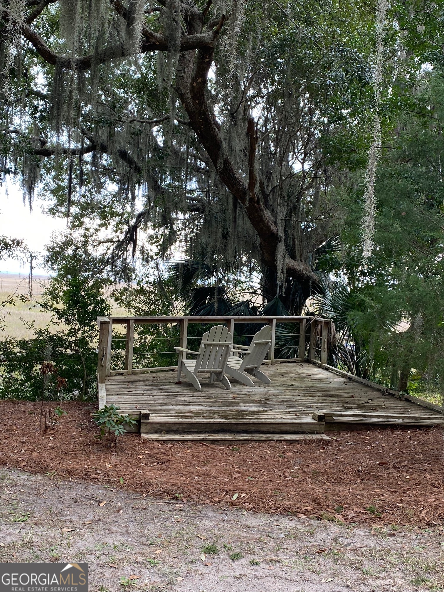 1 Old Cane Mill Drive Darien GA 31305