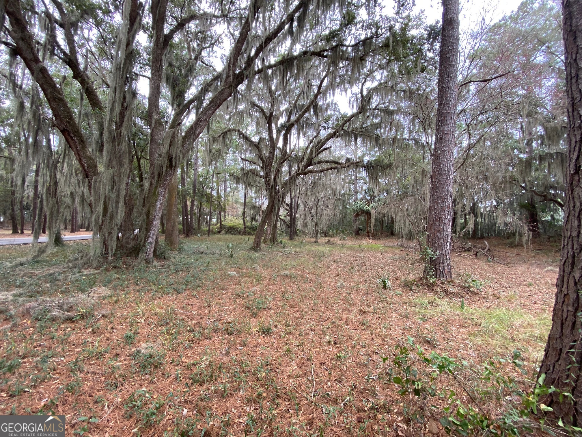 1 Old Cane Mill Drive Darien GA 31305