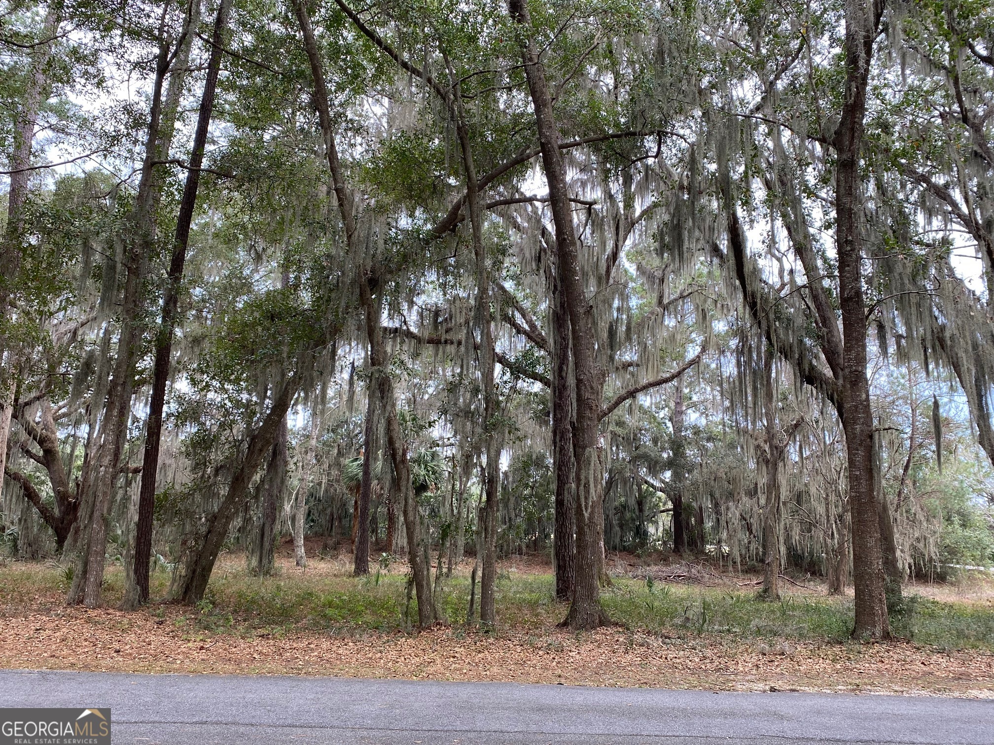 1 Old Cane Mill Drive Darien GA 31305
