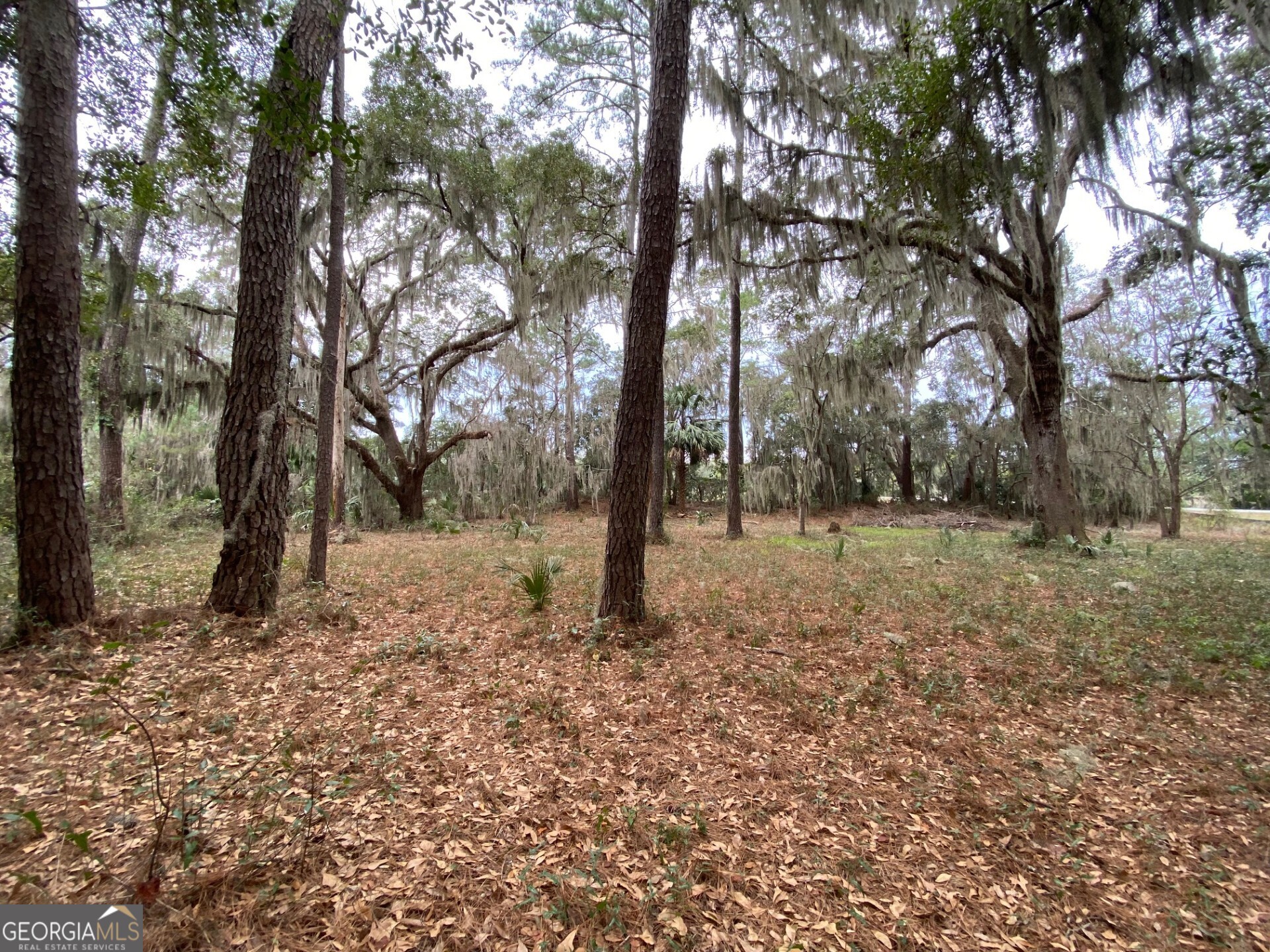 1 Old Cane Mill Drive Darien GA 31305