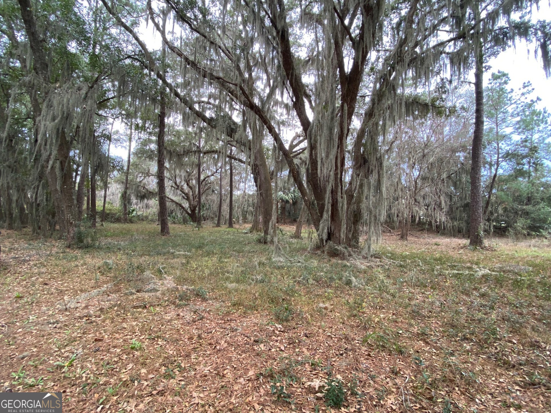 1 Old Cane Mill Drive Darien GA 31305