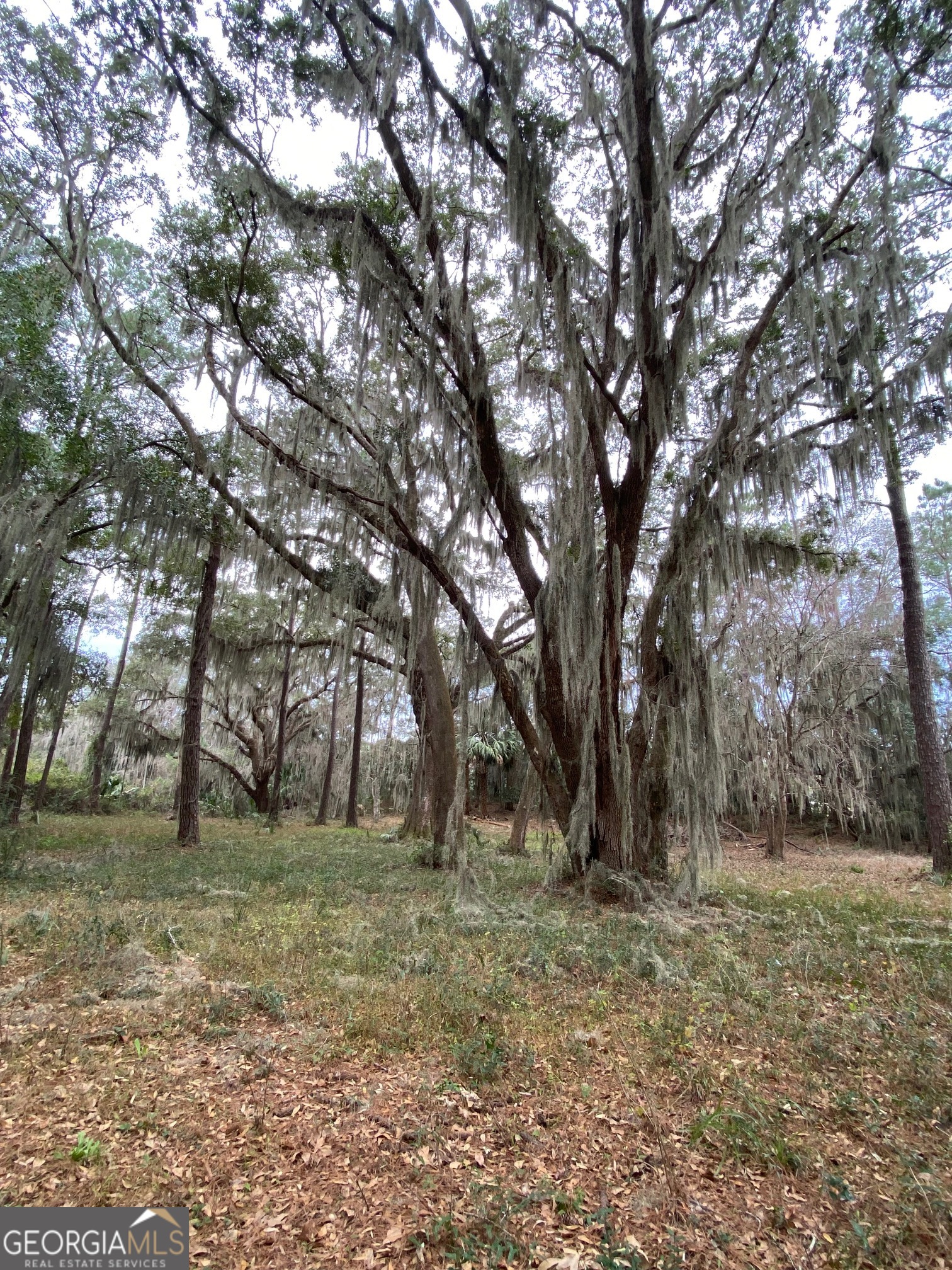 1 Old Cane Mill Drive Darien GA 31305
