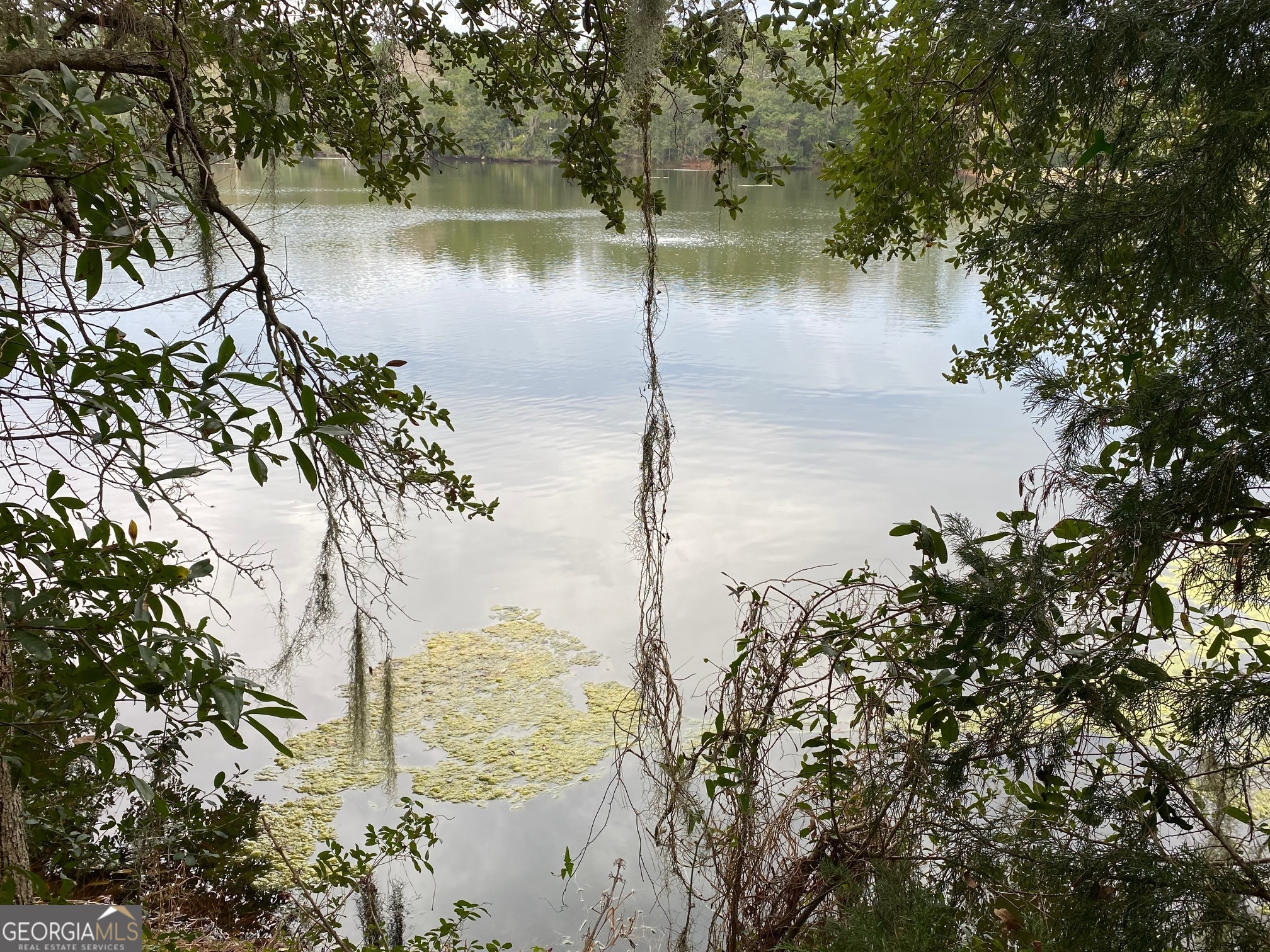 1 Old Cane Mill Drive Darien GA 31305